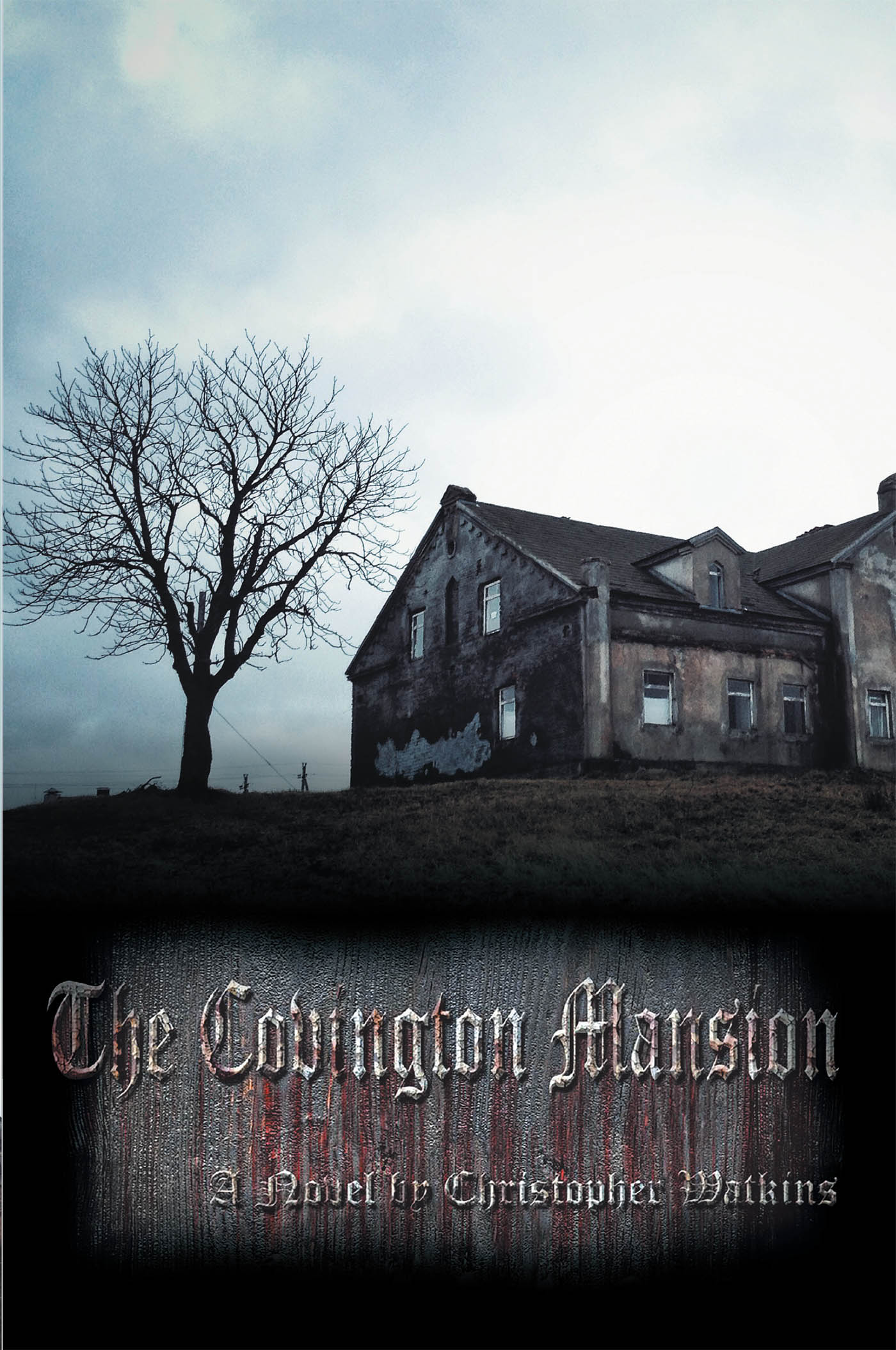 The Covington Mansion Cover Image