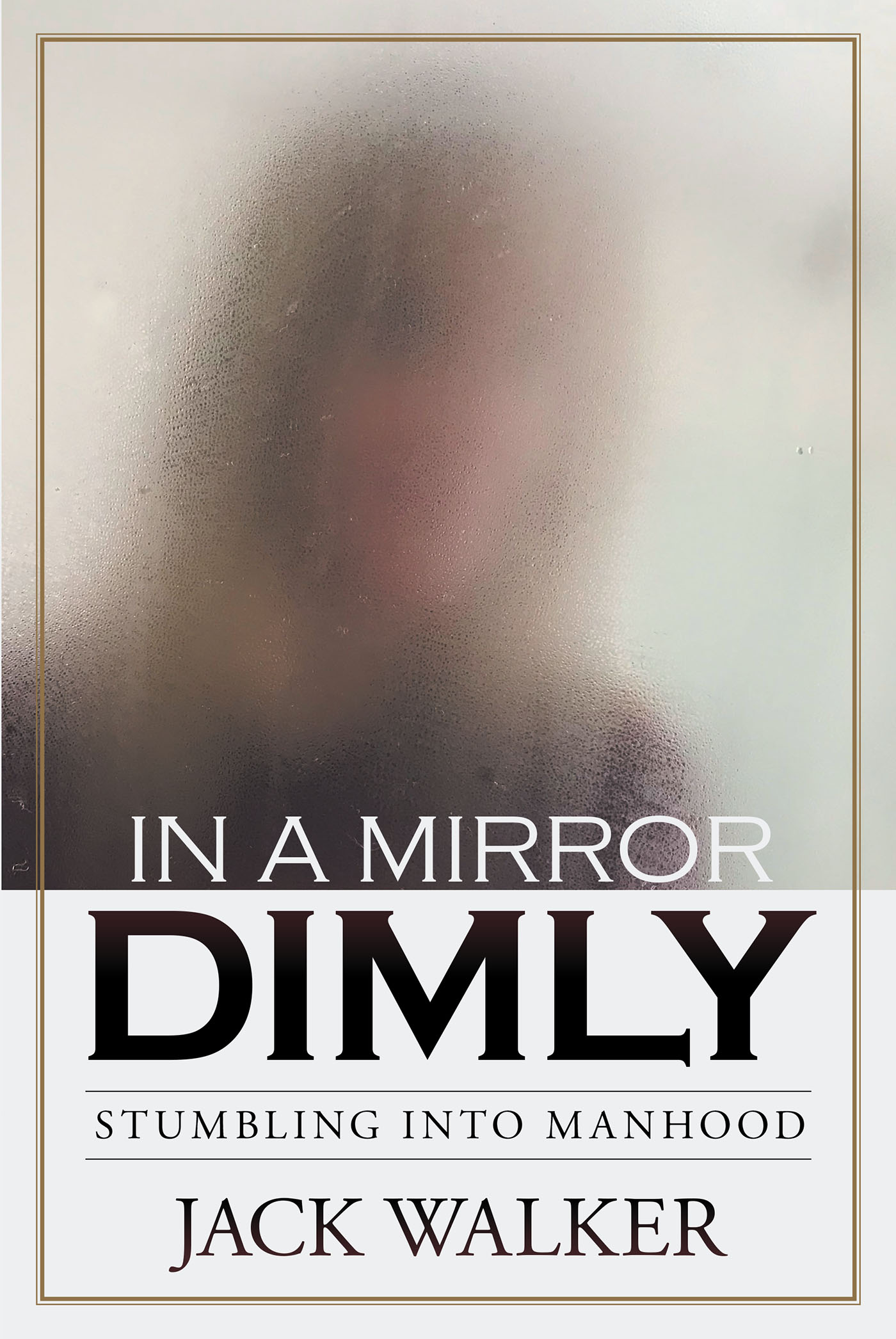 In a Mirror Dimly Cover Image