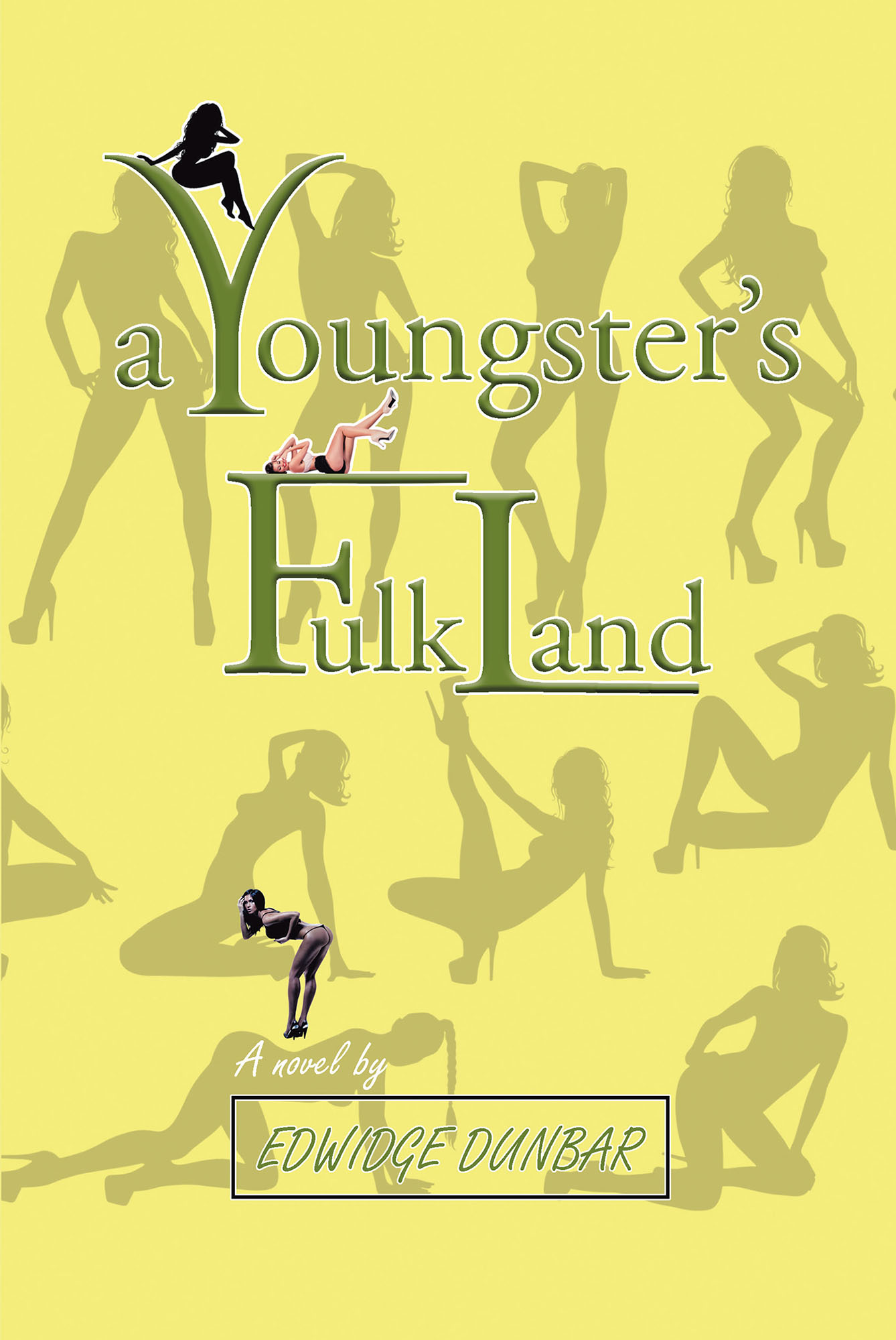 A Youngster's Fulkland Cover Image