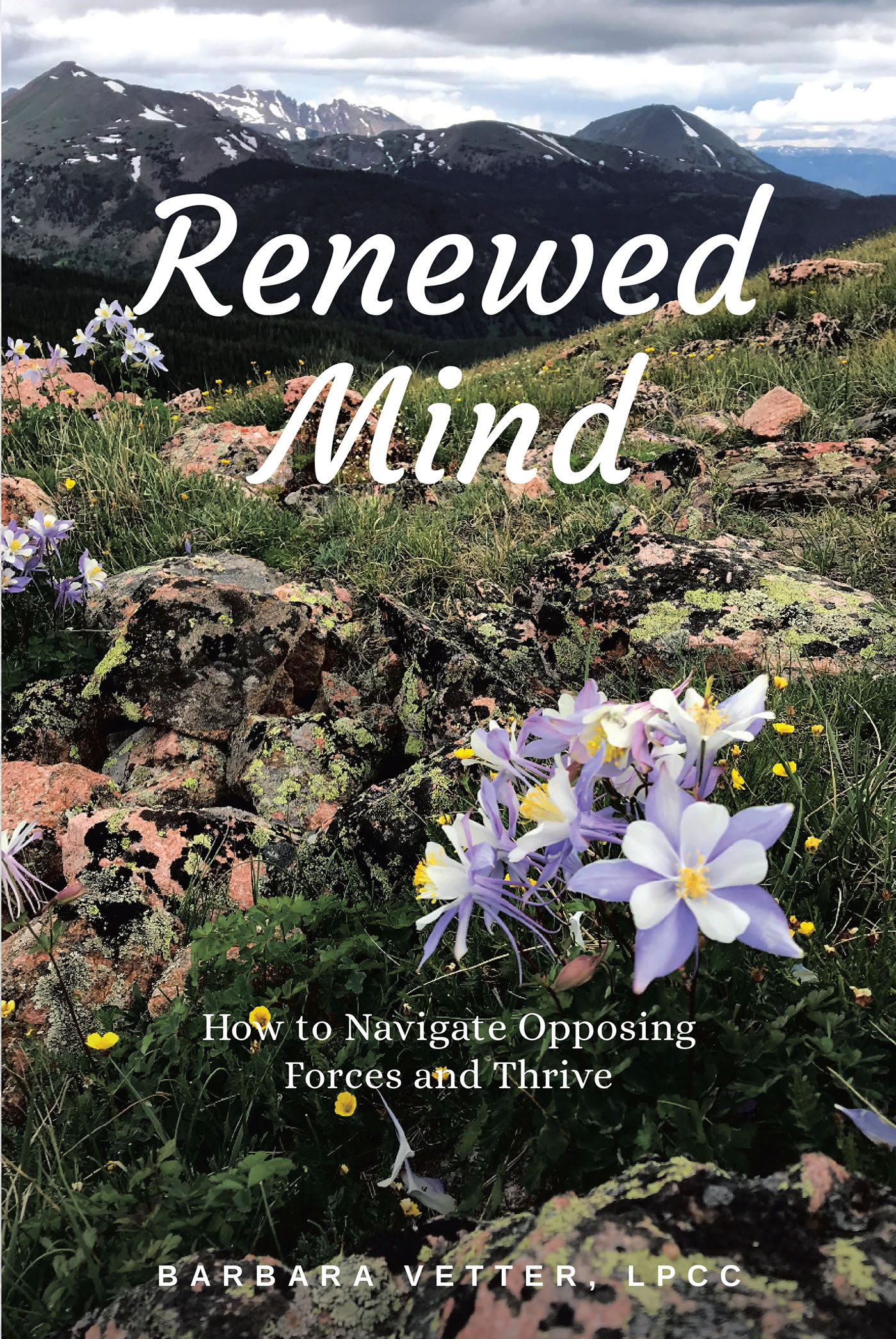 Renewed Mind Cover Image