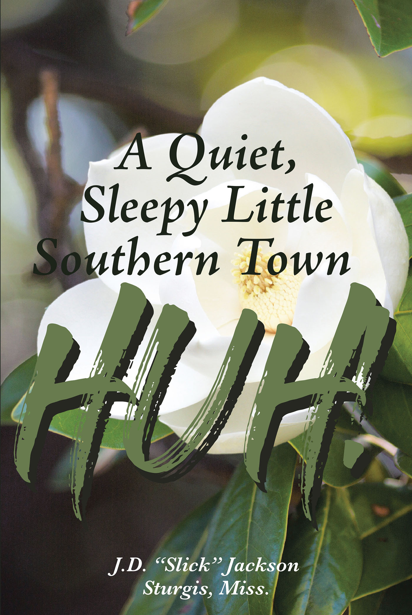 A Quiet, Sleepy Little Southern Town HUH! Cover Image