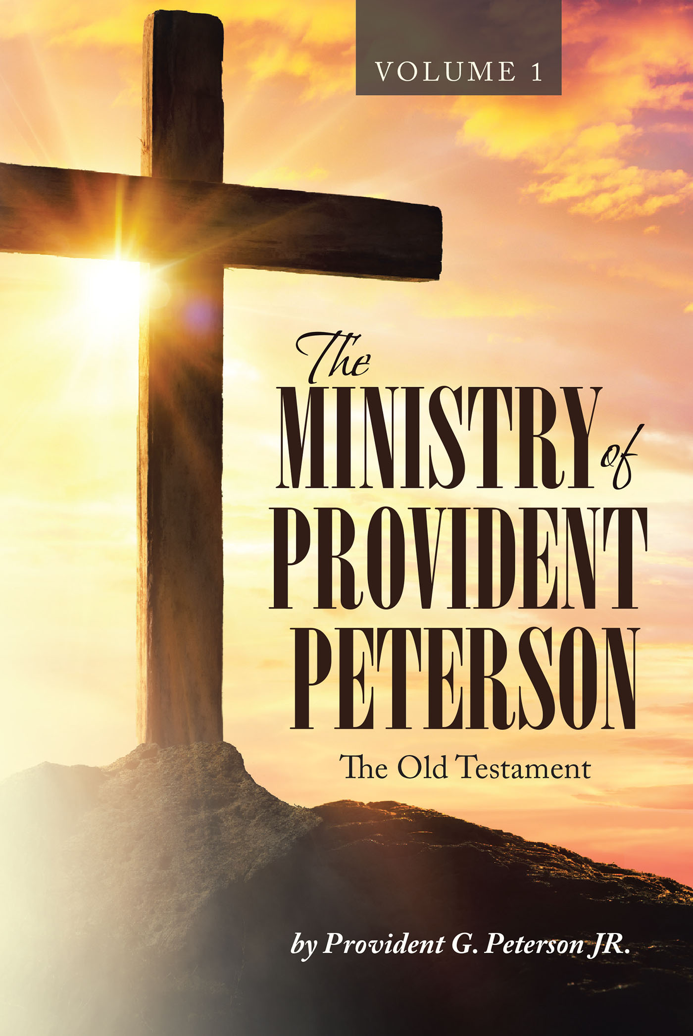 Ministry of Provident Peterson Cover Image