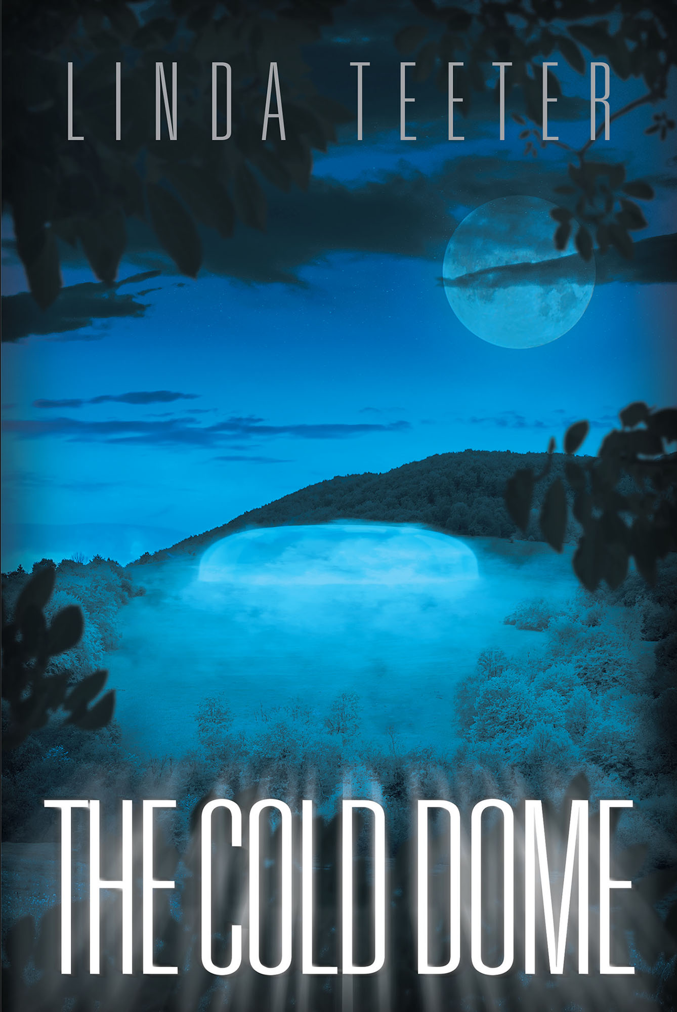 The Cold Dome Cover Image