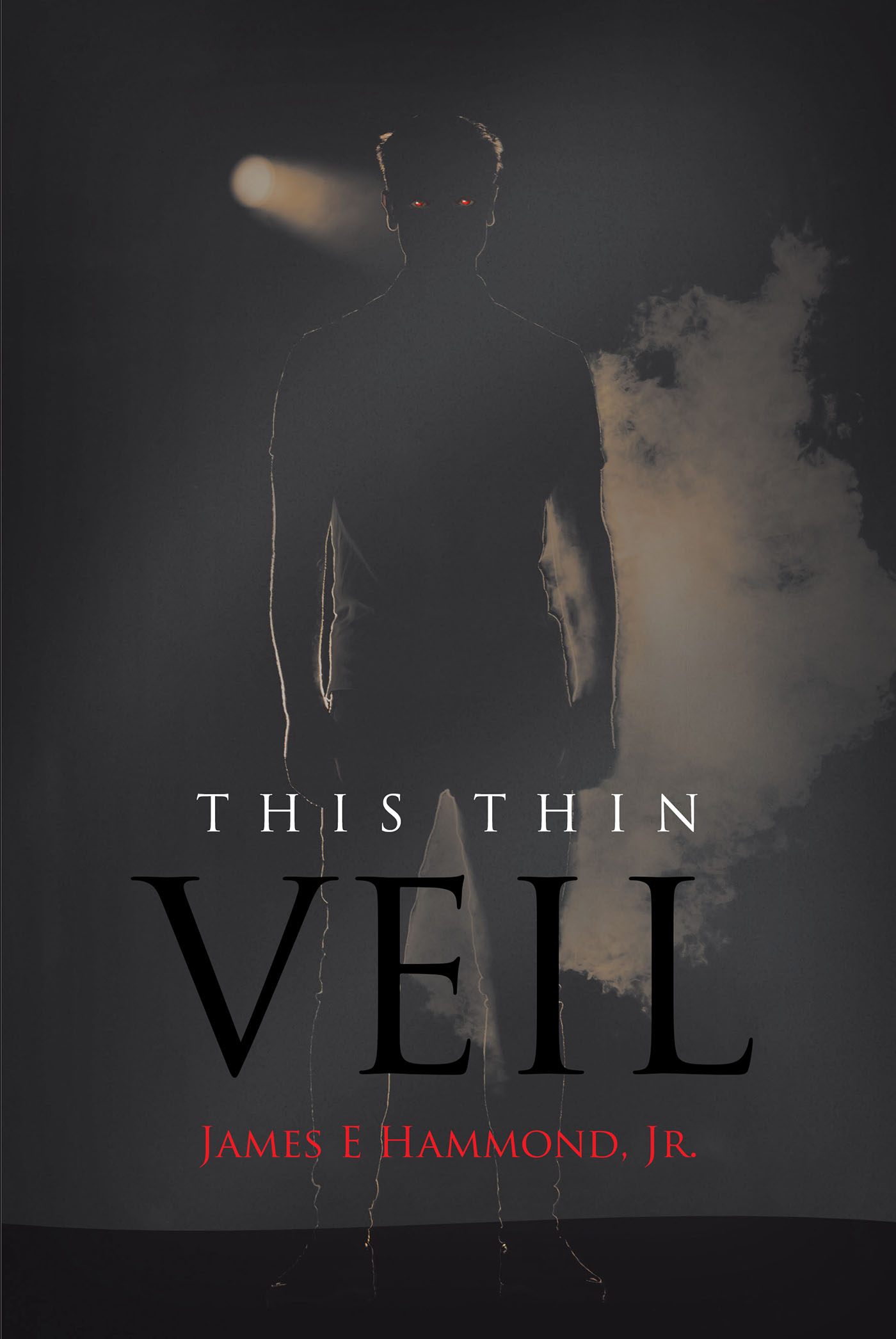 This Thin Veil Cover Image