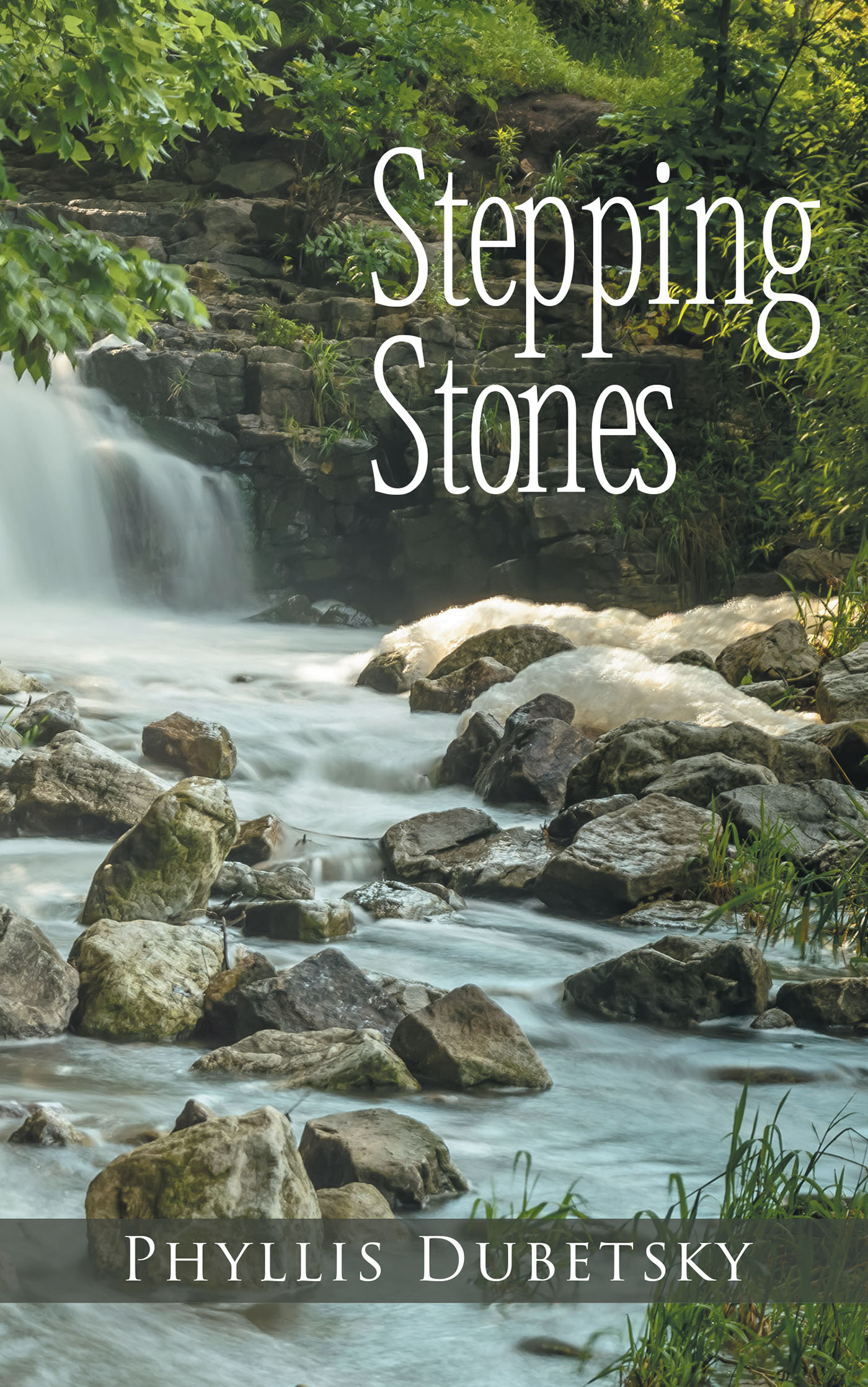 Stepping Stones Cover Image