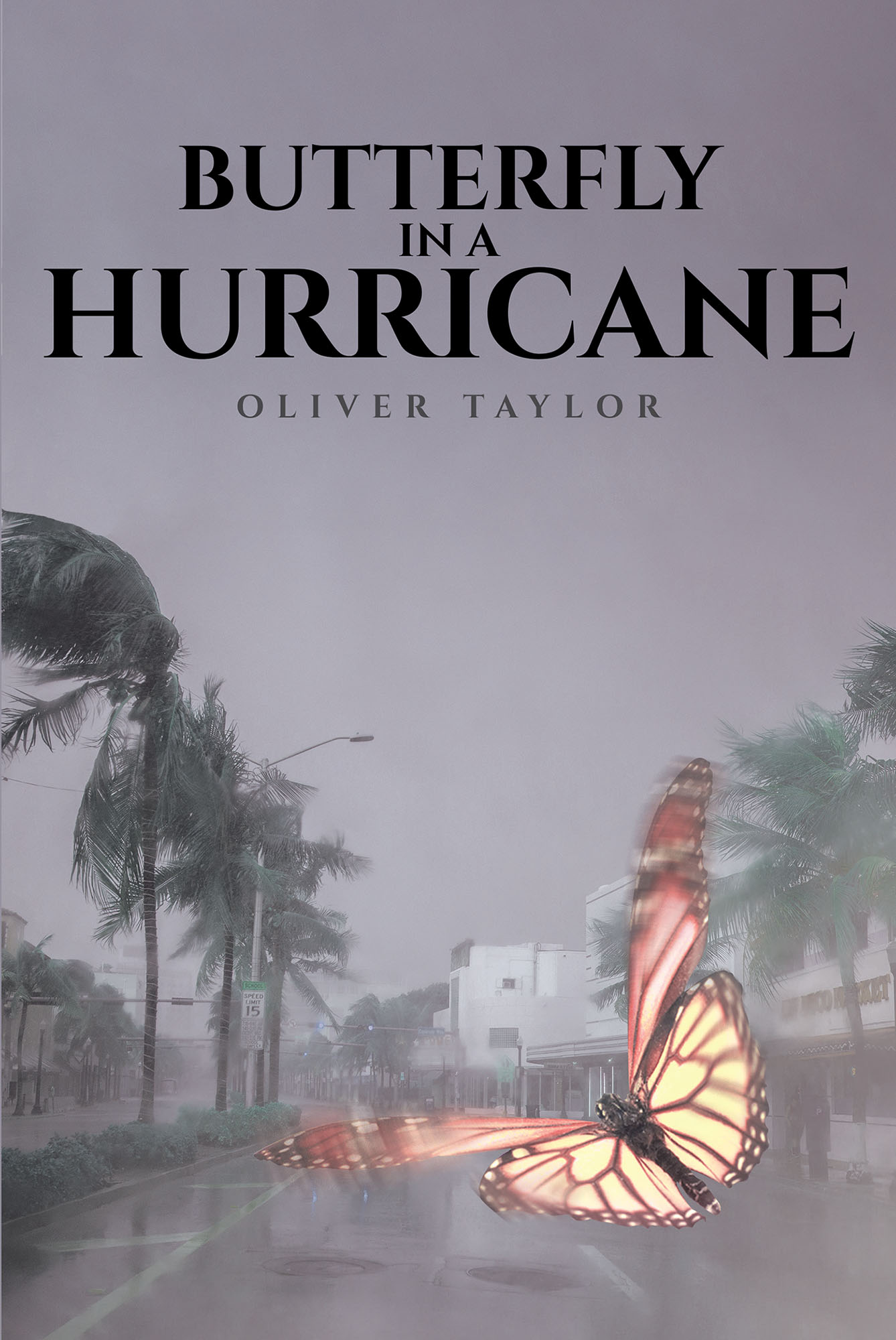 Butterfly in a Hurricane Cover Image