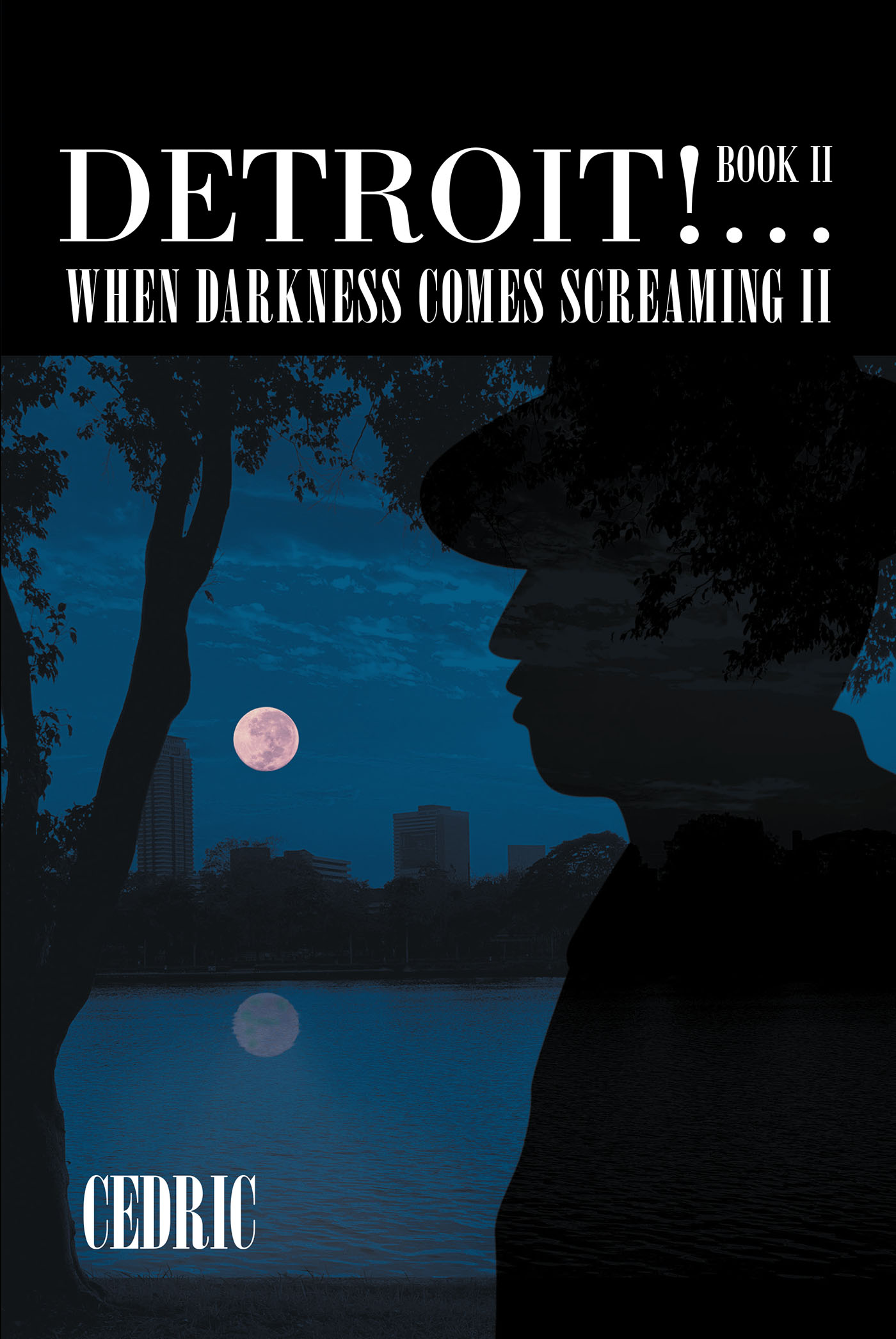Detroit! ...When Darkness Comes Screaming II Cover Image