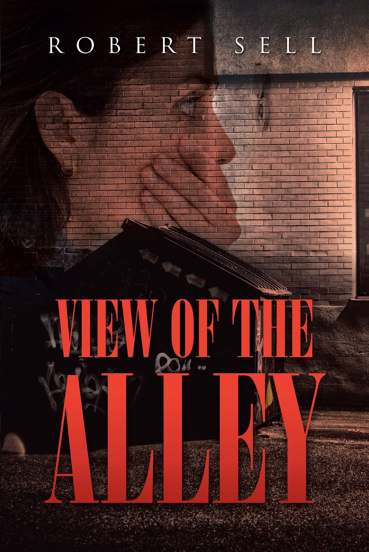 View of the Alley Cover Image