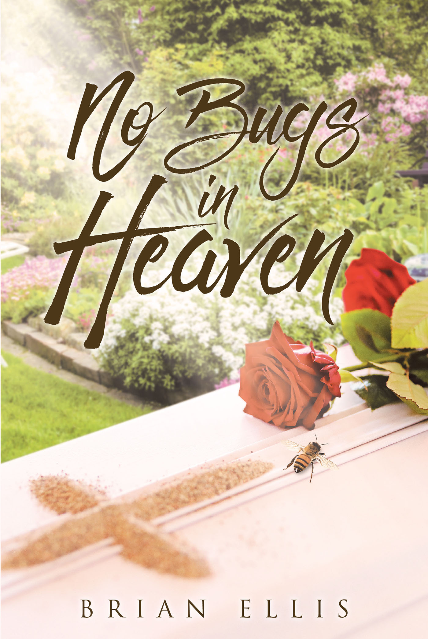 No Bugs in Heaven Cover Image