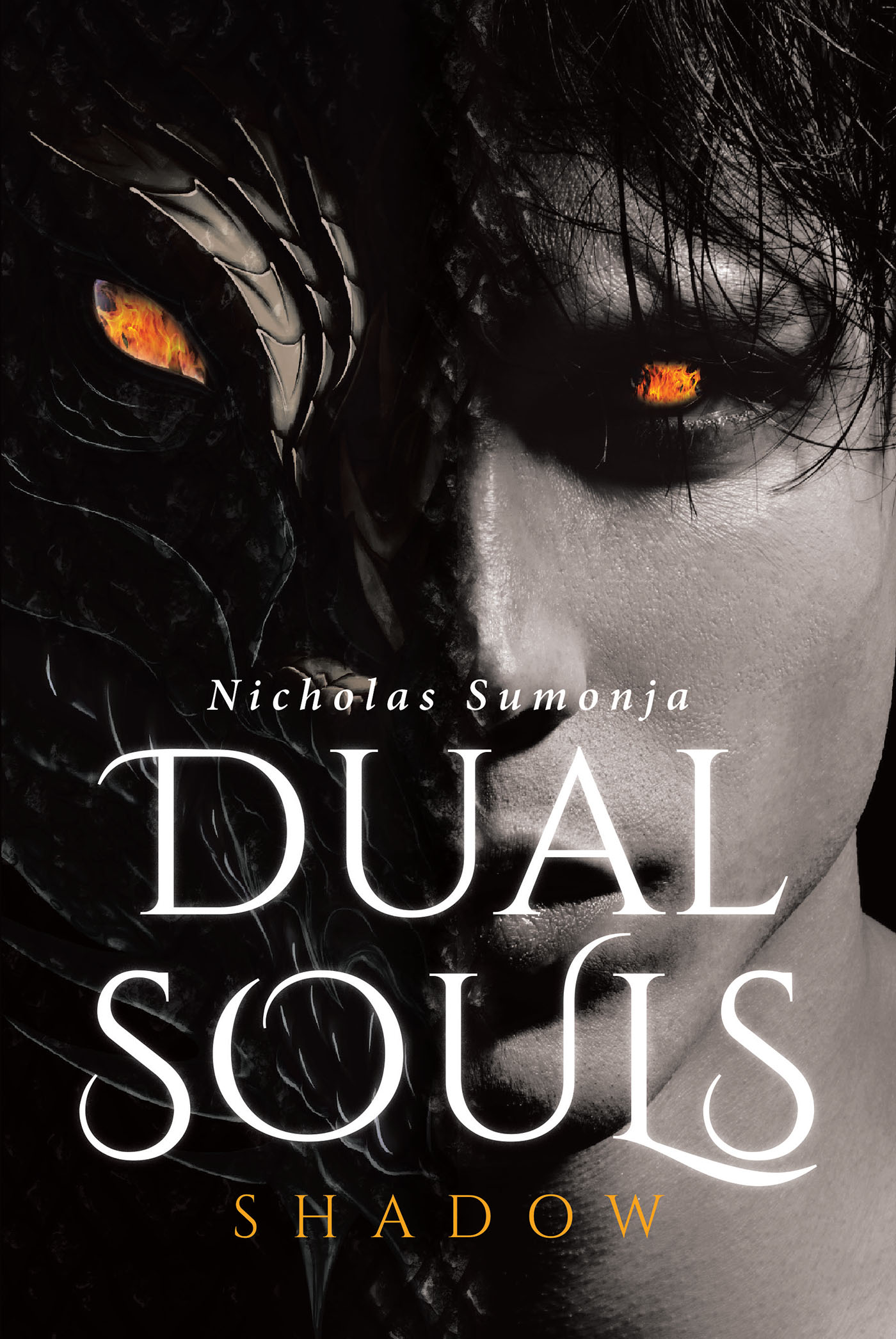 Dual Souls Cover Image