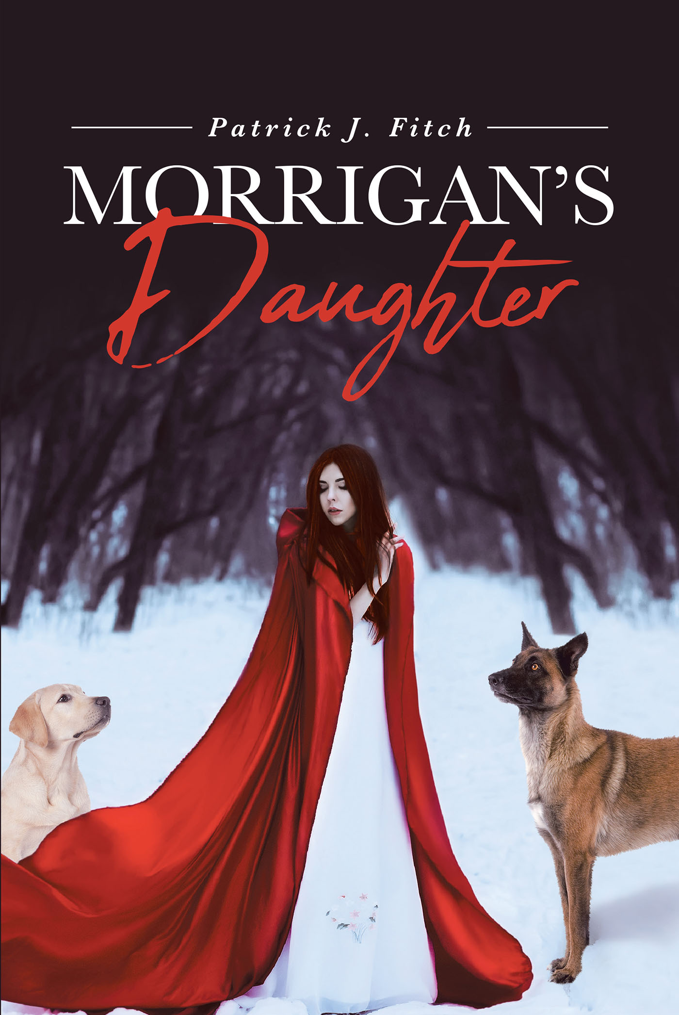 Morrigan's Daughter Cover Image