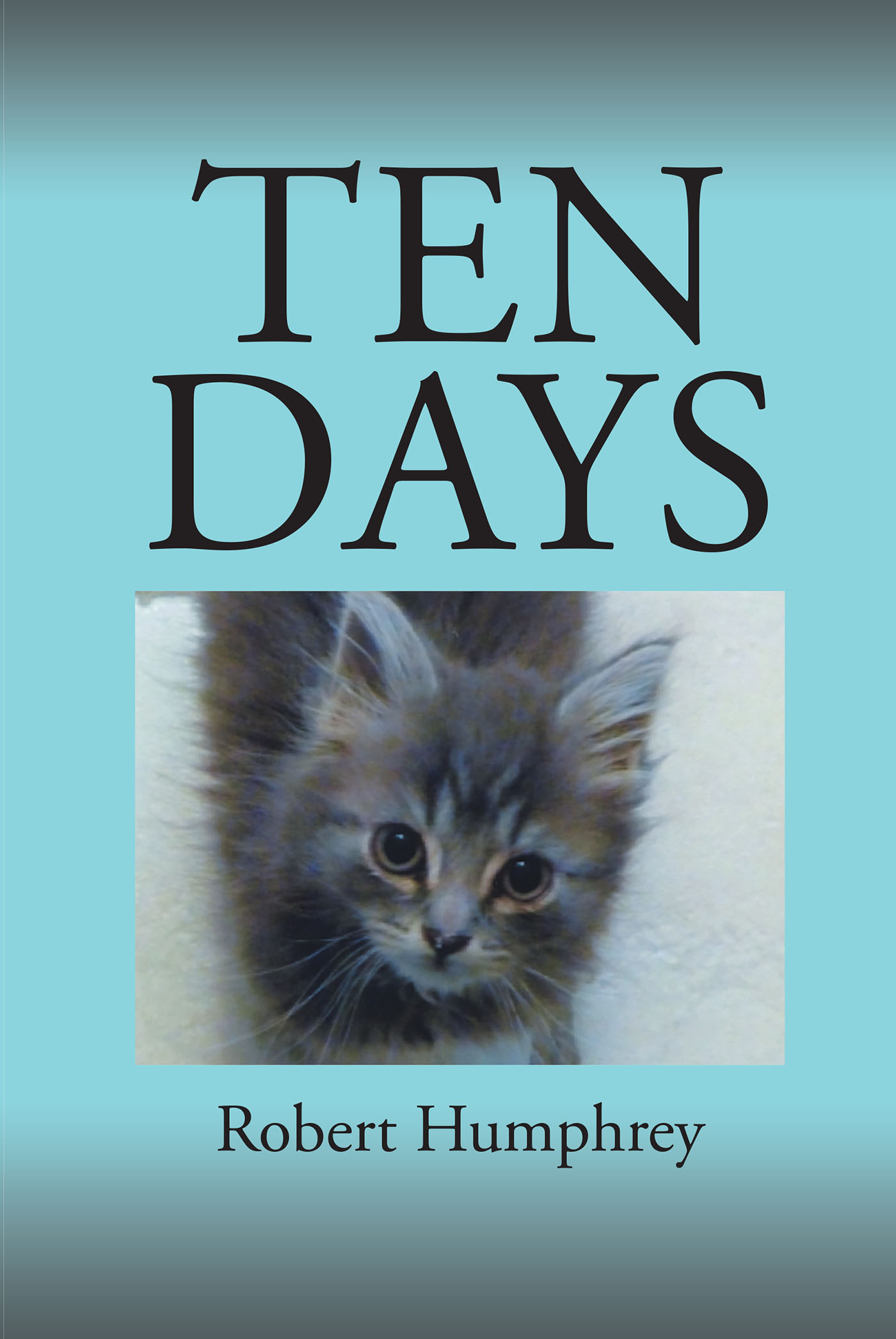 Ten Days Cover Image