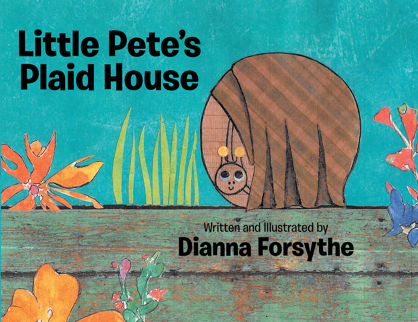 Little Pete's Plaid House Cover Image