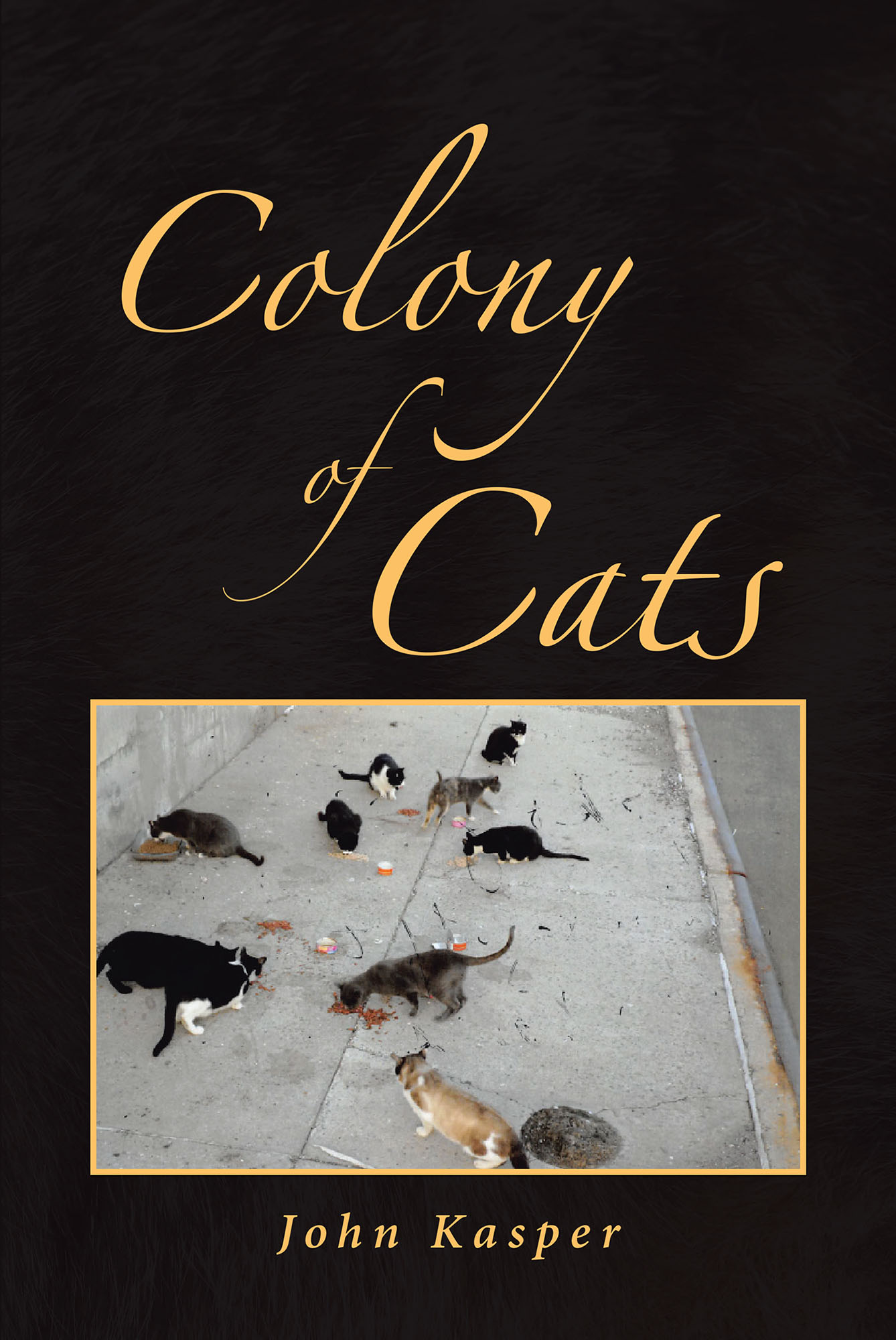 Colony of Cats Cover Image