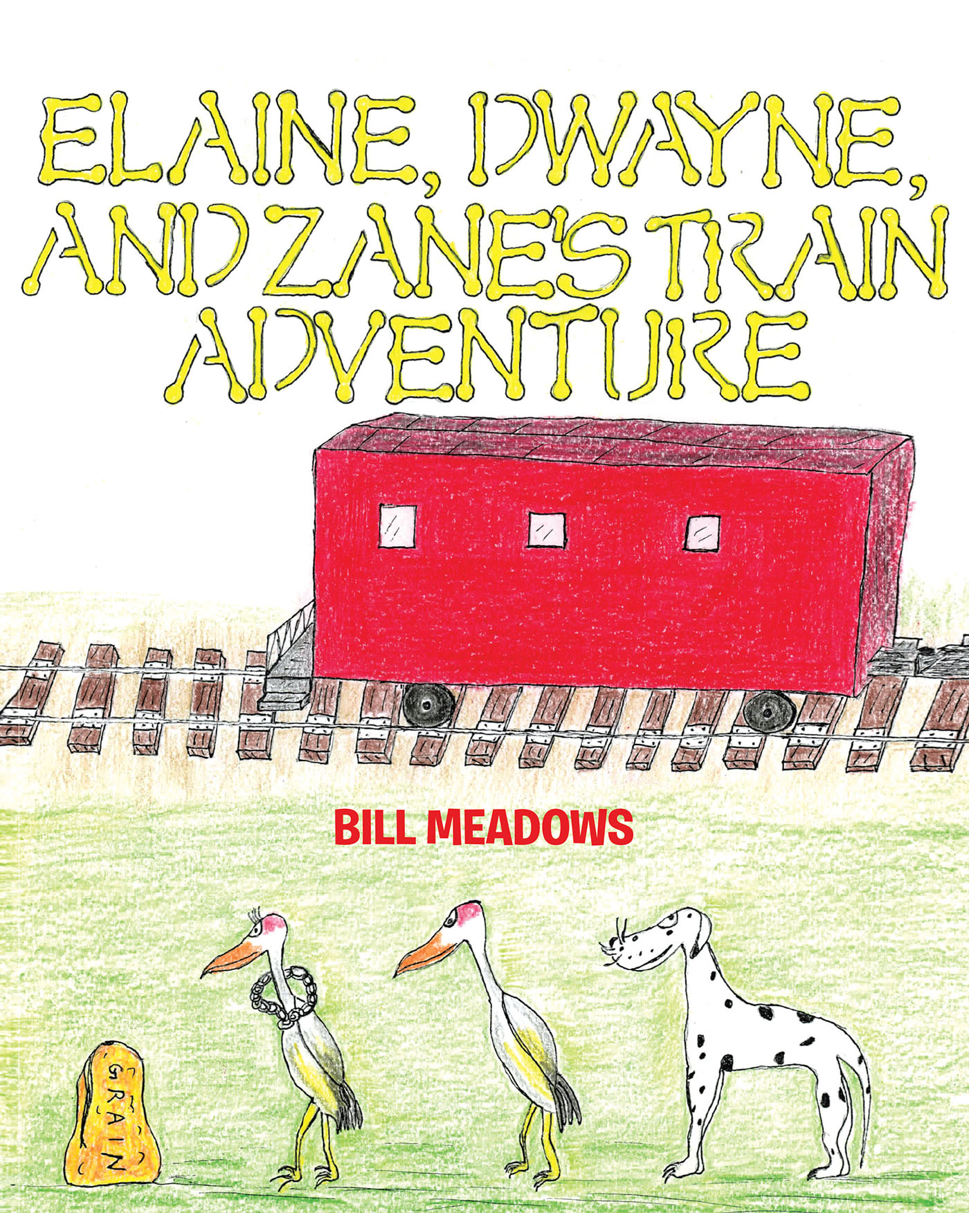 Elaine, Dwayne and Zane's Train Adventure Cover Image
