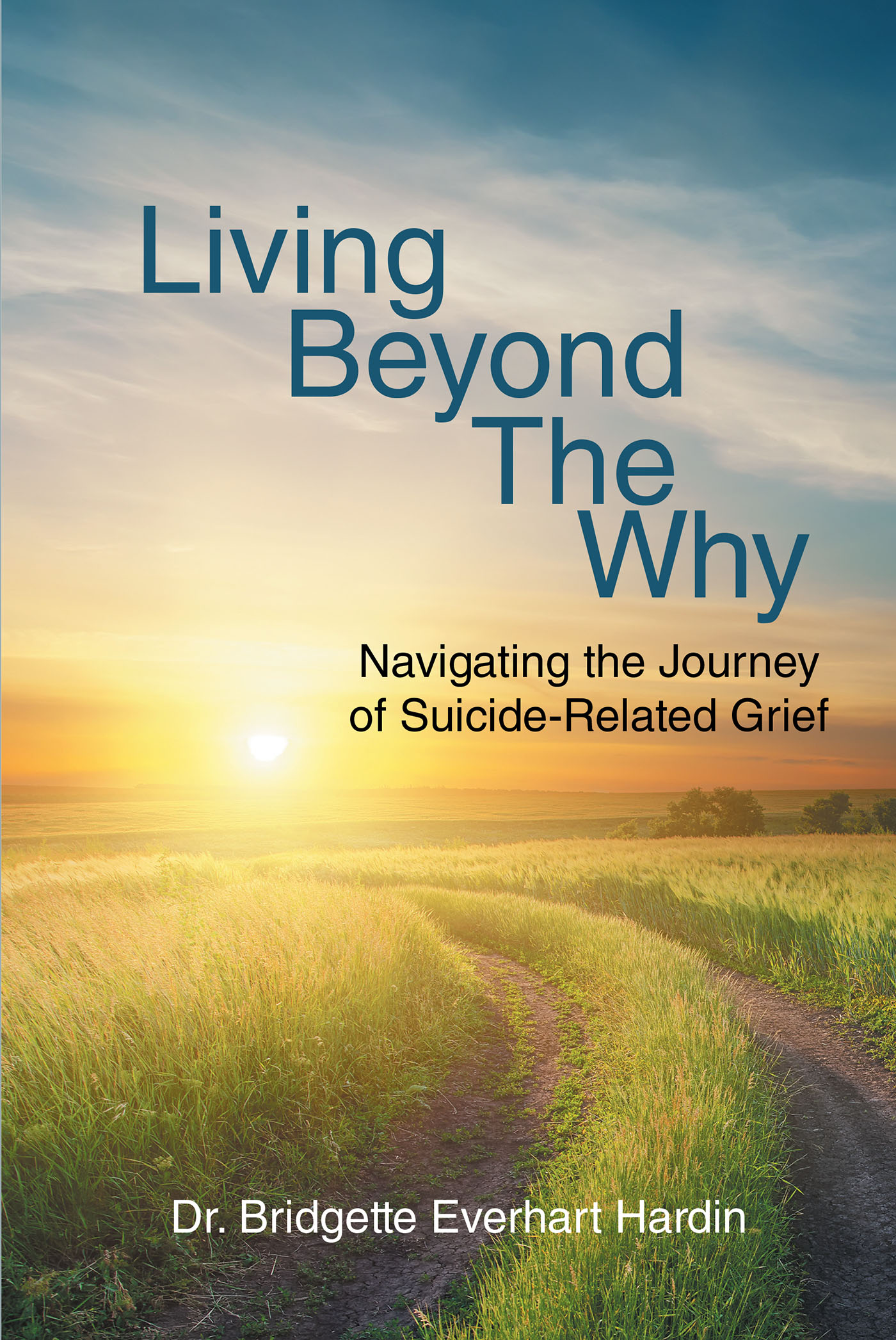 Living Beyond the Why Cover Image