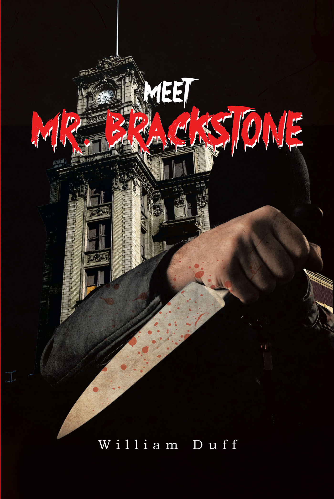 Meet Mr. Brackstone Cover Image