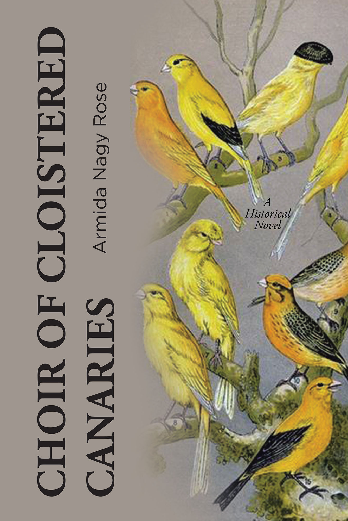 Choir of Cloistered Canaries Cover Image