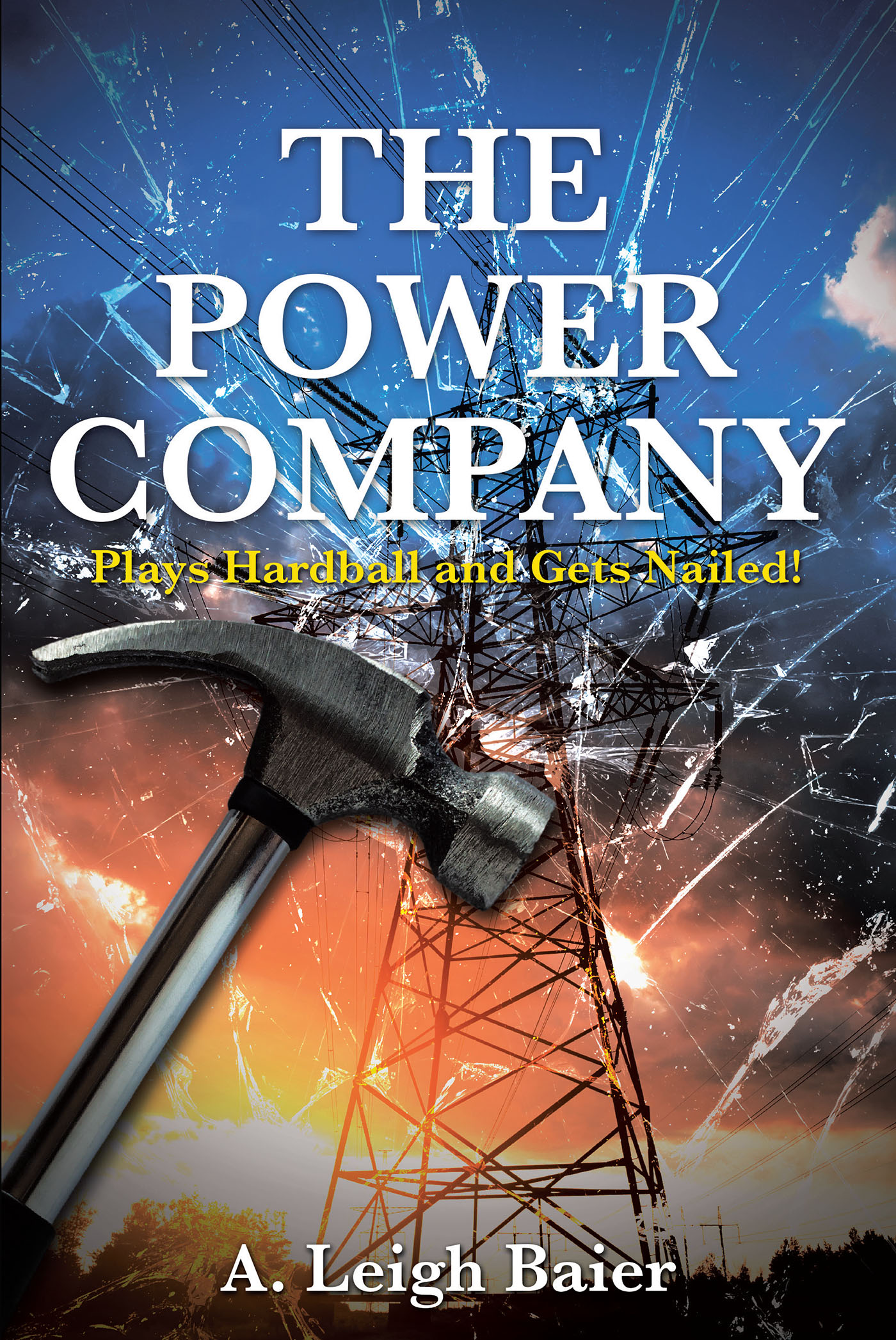 The Power Company Cover Image
