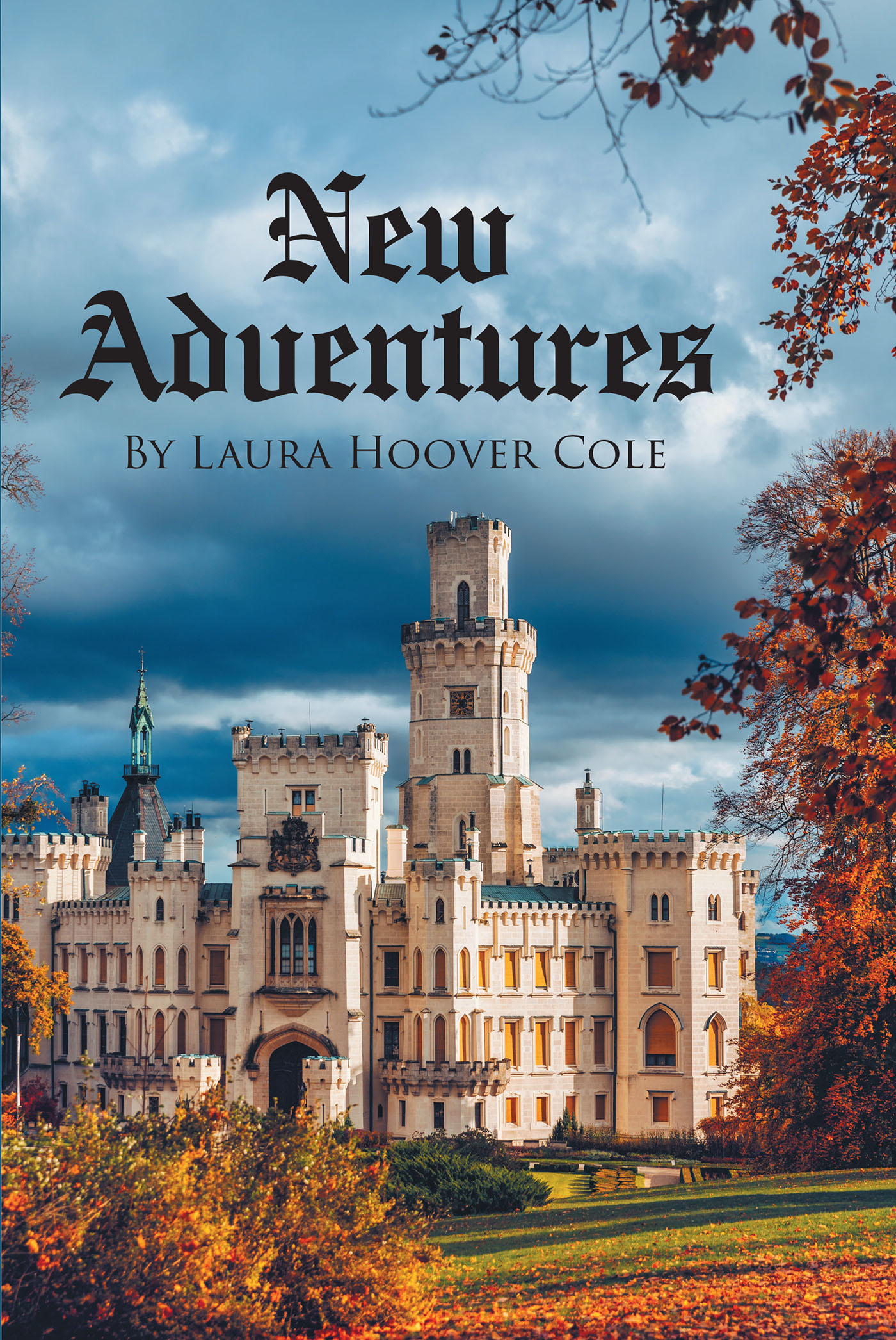 New Adventures Cover Image