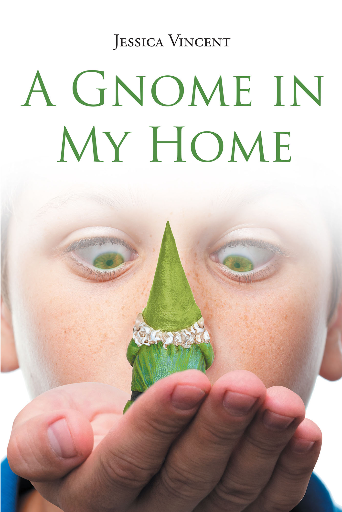 A Gnome in My Home Cover Image