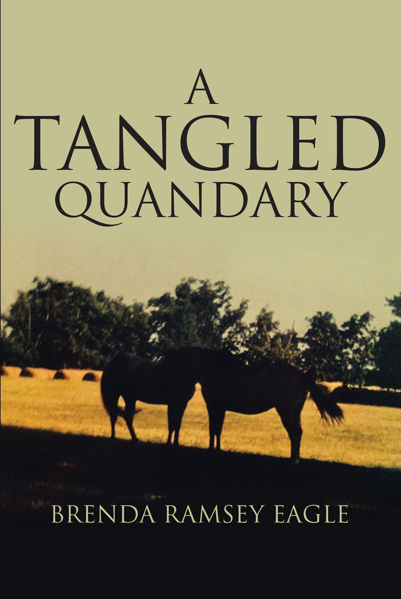 A Tangled Quandary Cover Image
