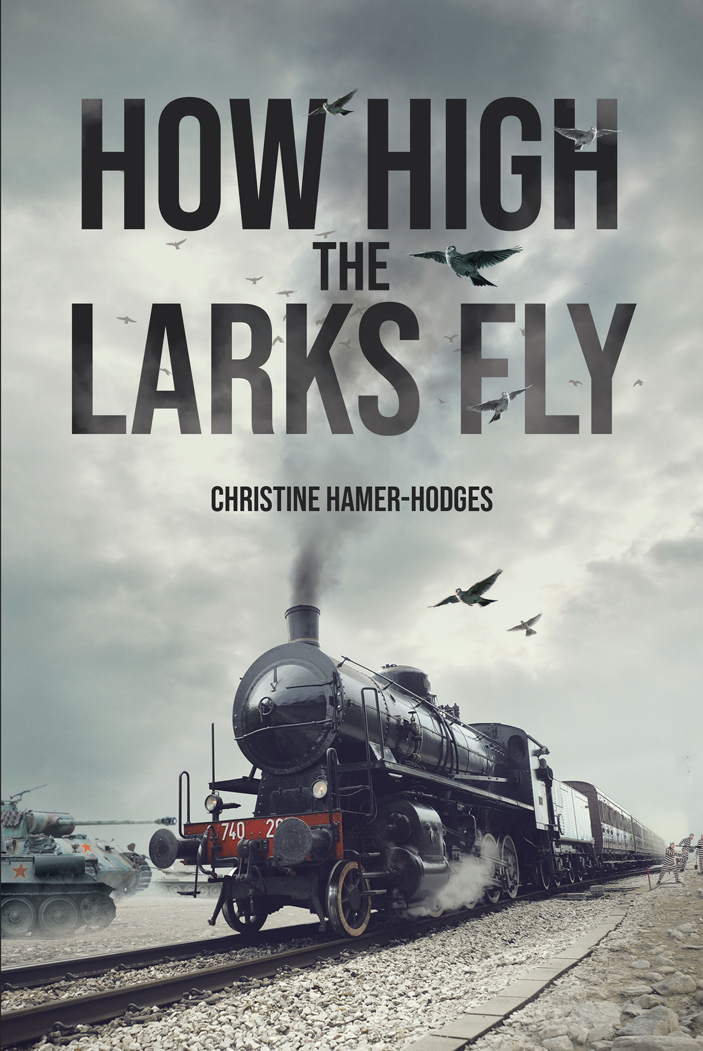 How High the Larks Fly Cover Image
