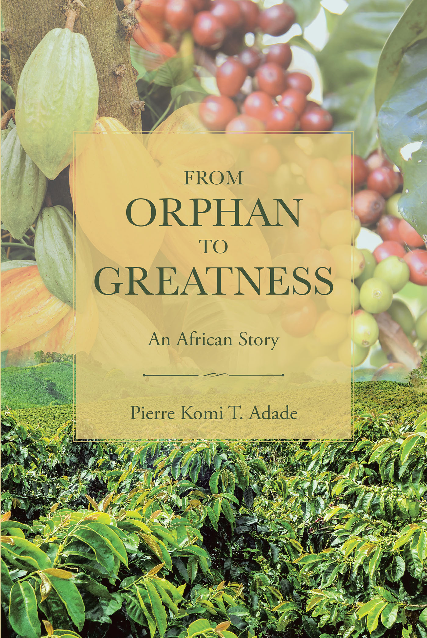From Orphan to Greatness Cover Image