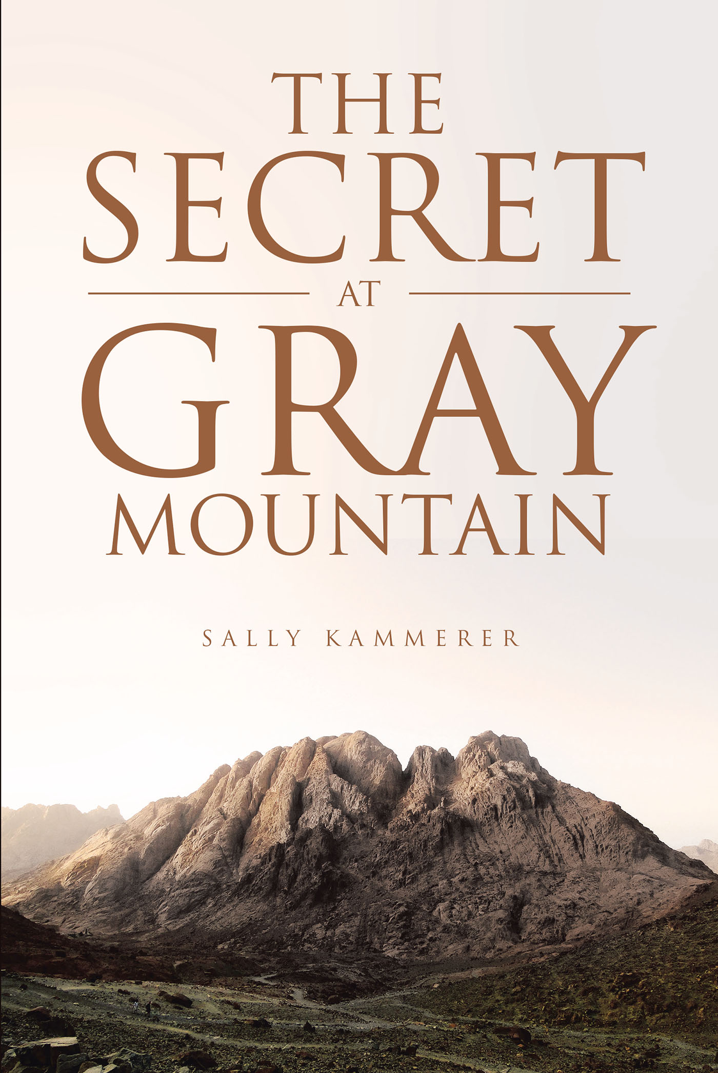 The Secret at Gray Mountain Cover Image