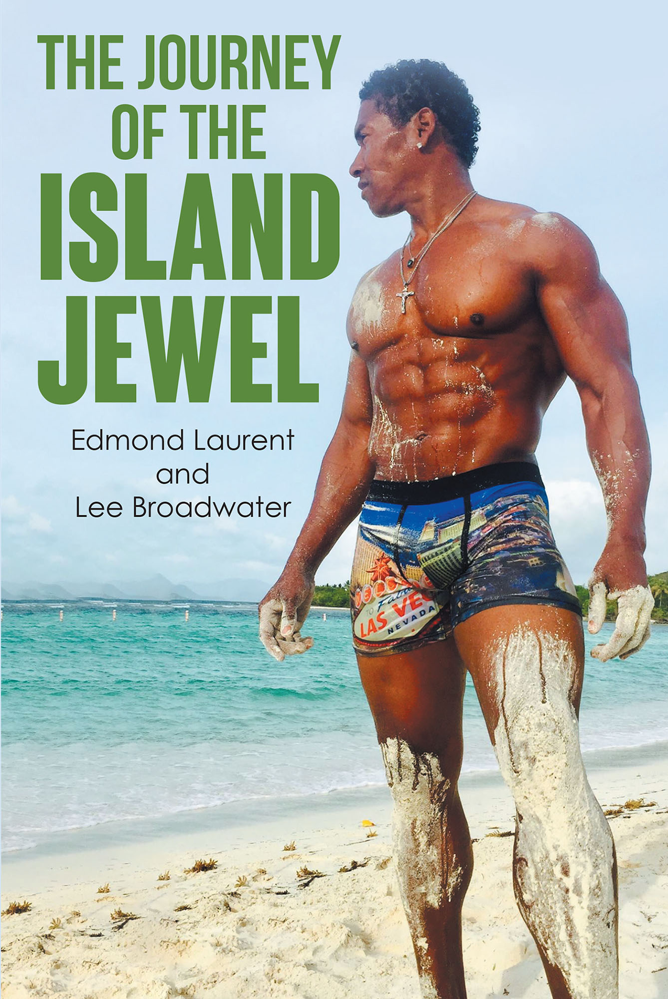 The Journey of the Island Jewel Cover Image