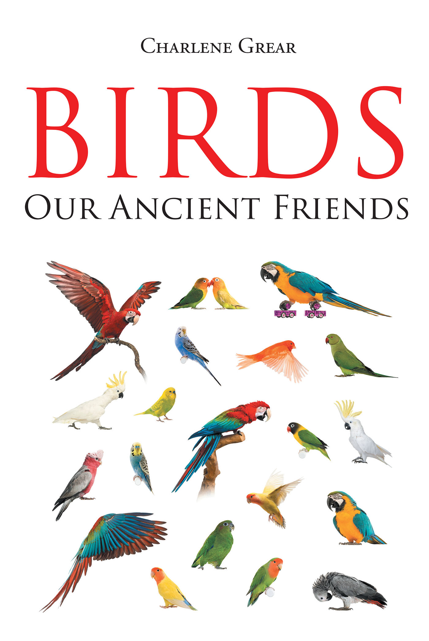 Birds  Cover Image