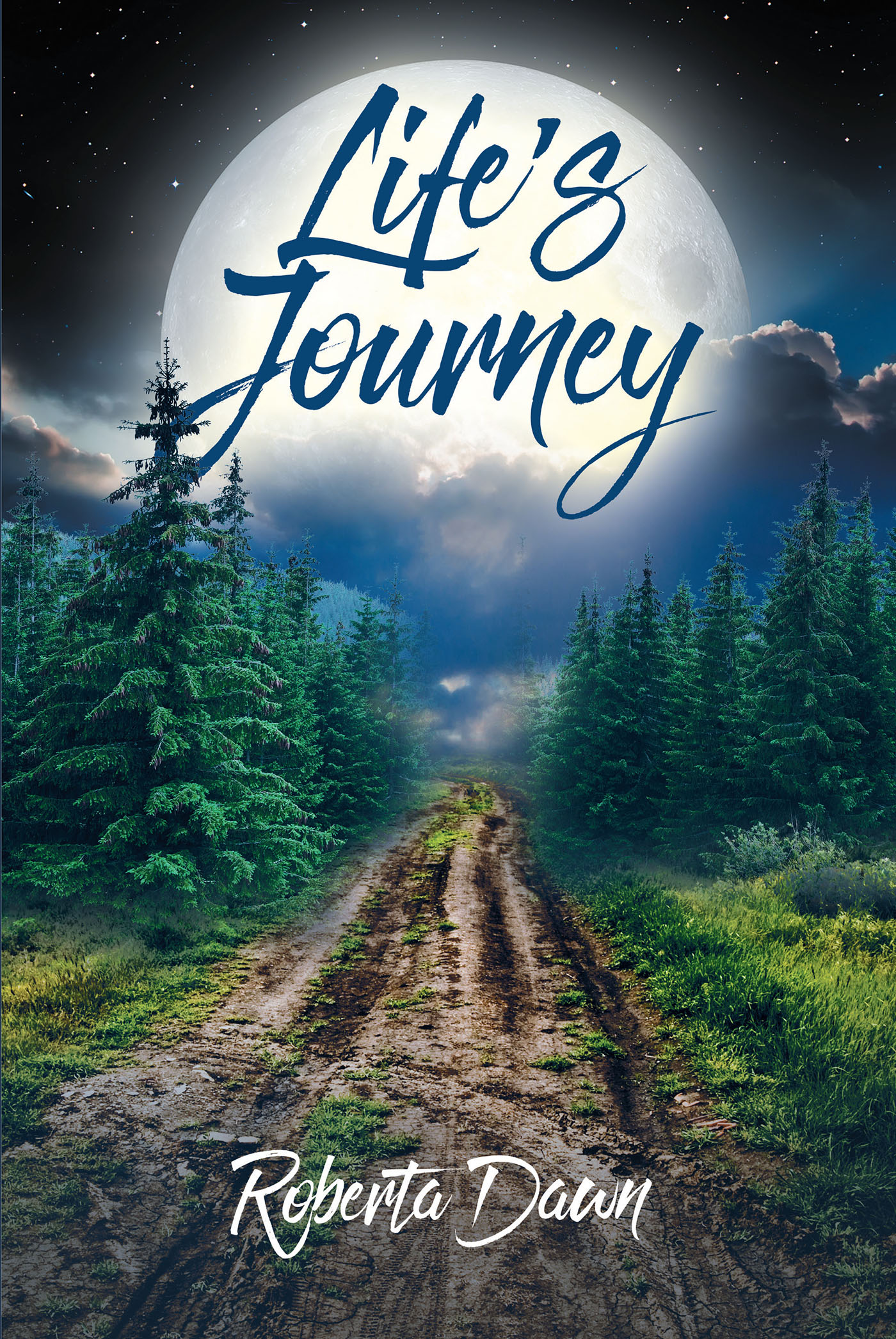 Life's Journey Cover Image