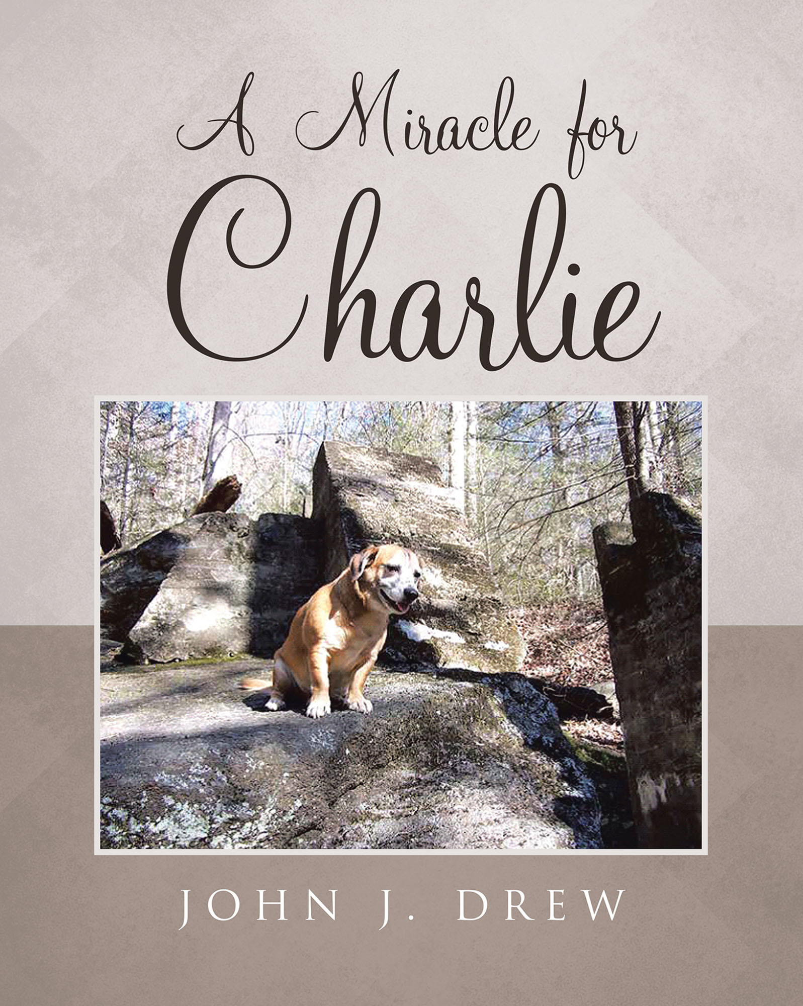 A Miracle for Charlie Cover Image