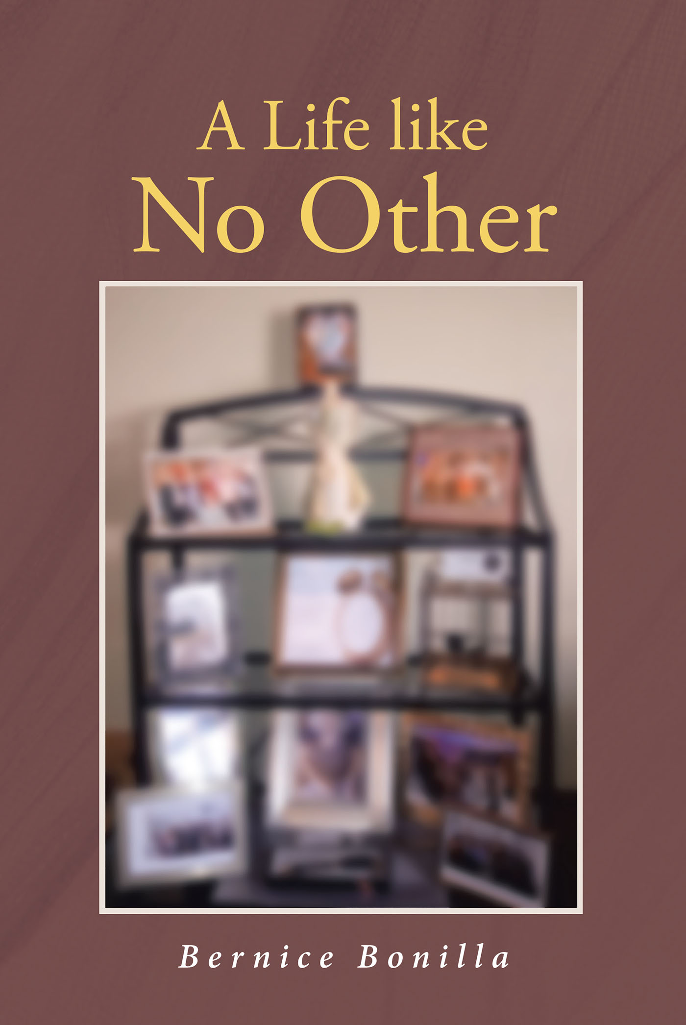 A Life like No Other Cover Image