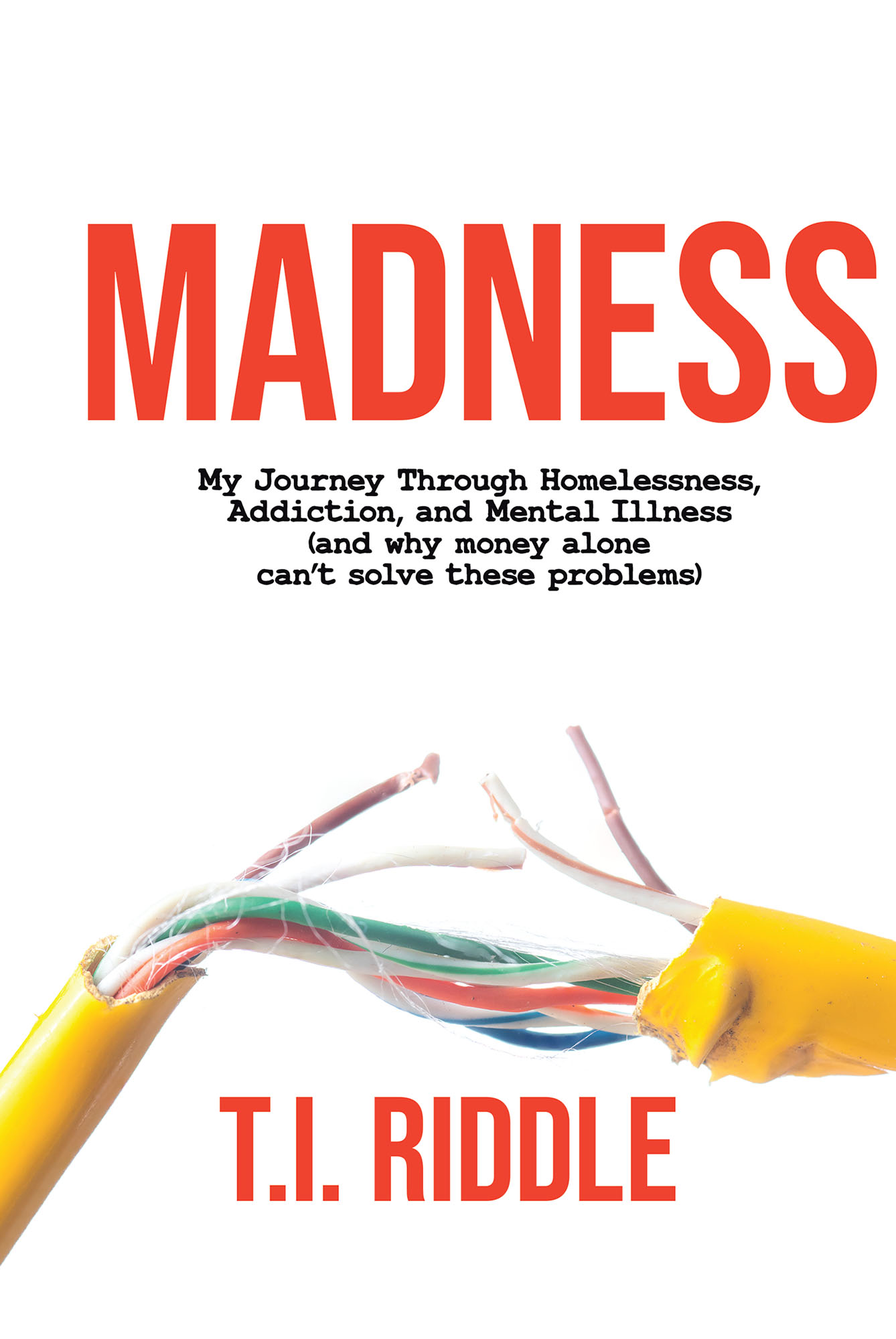 Madness Cover Image