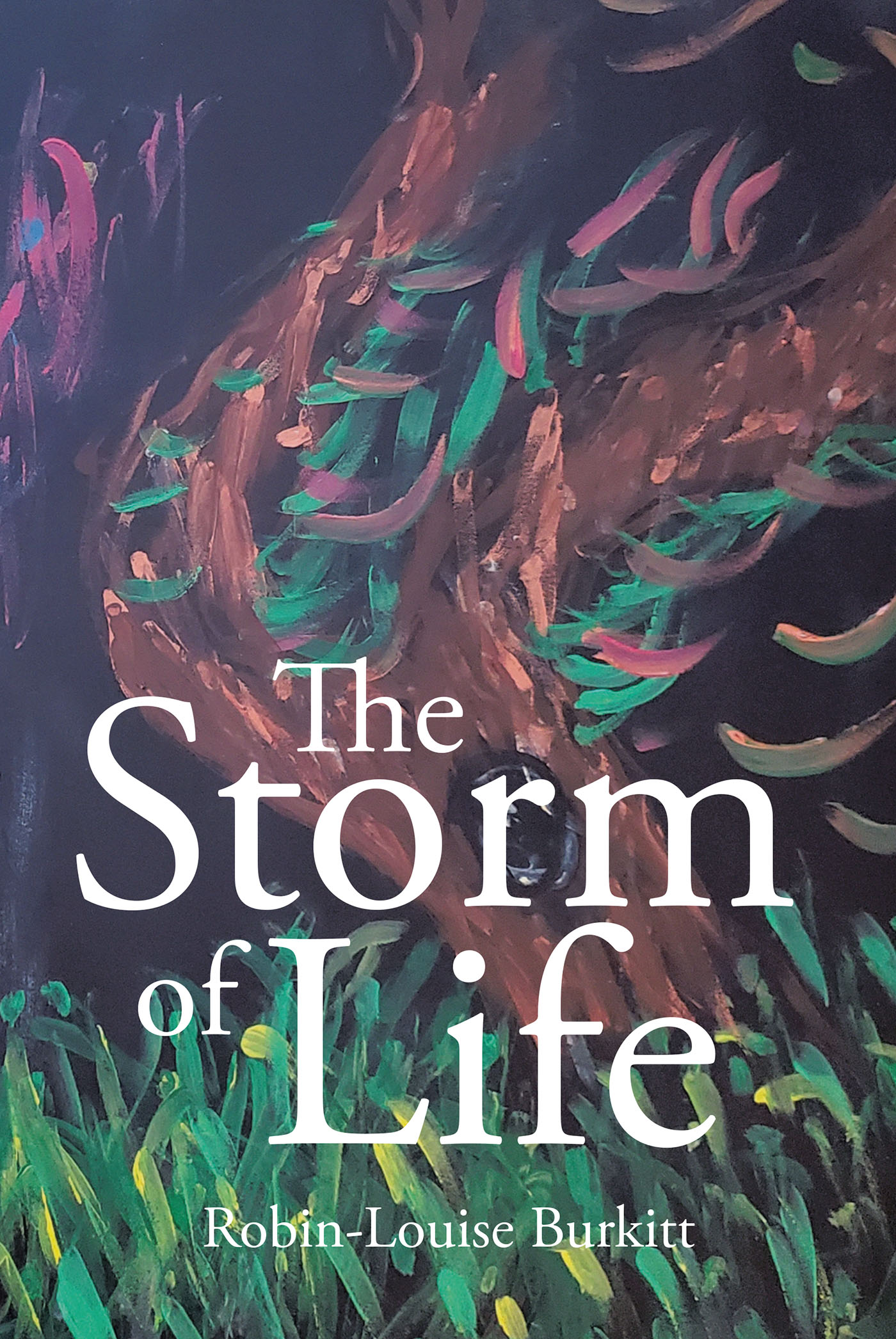 The Storm of Life Cover Image