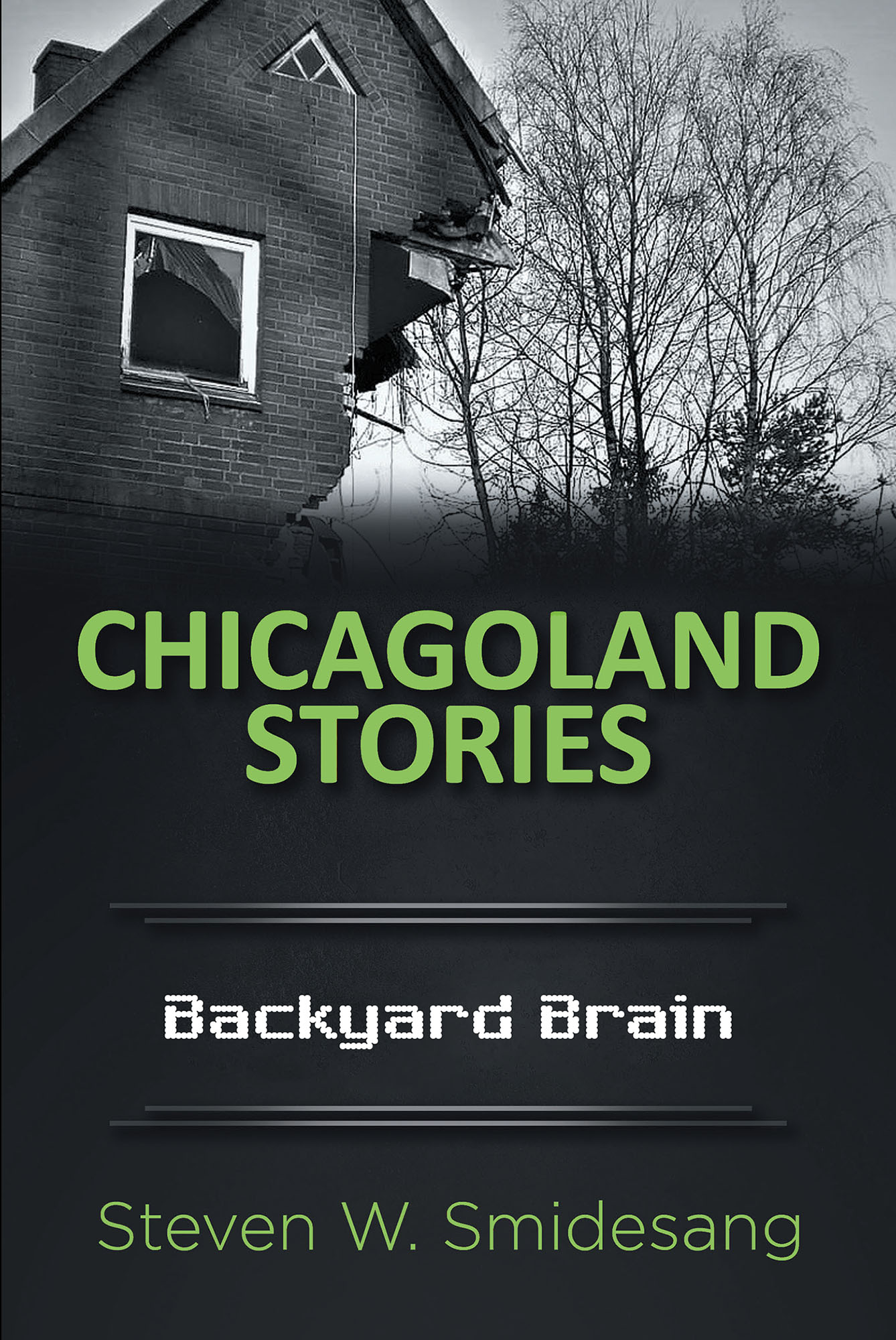 Chicagoland Stories Cover Image