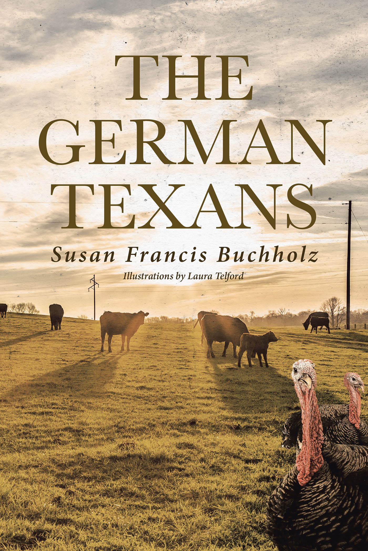 The German Texans Cover Image