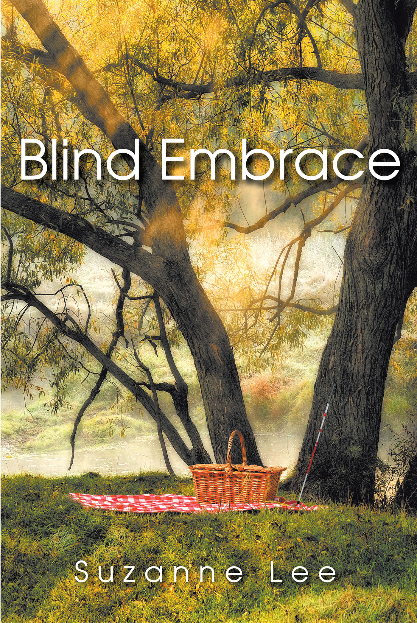 Blind Embrace Cover Image