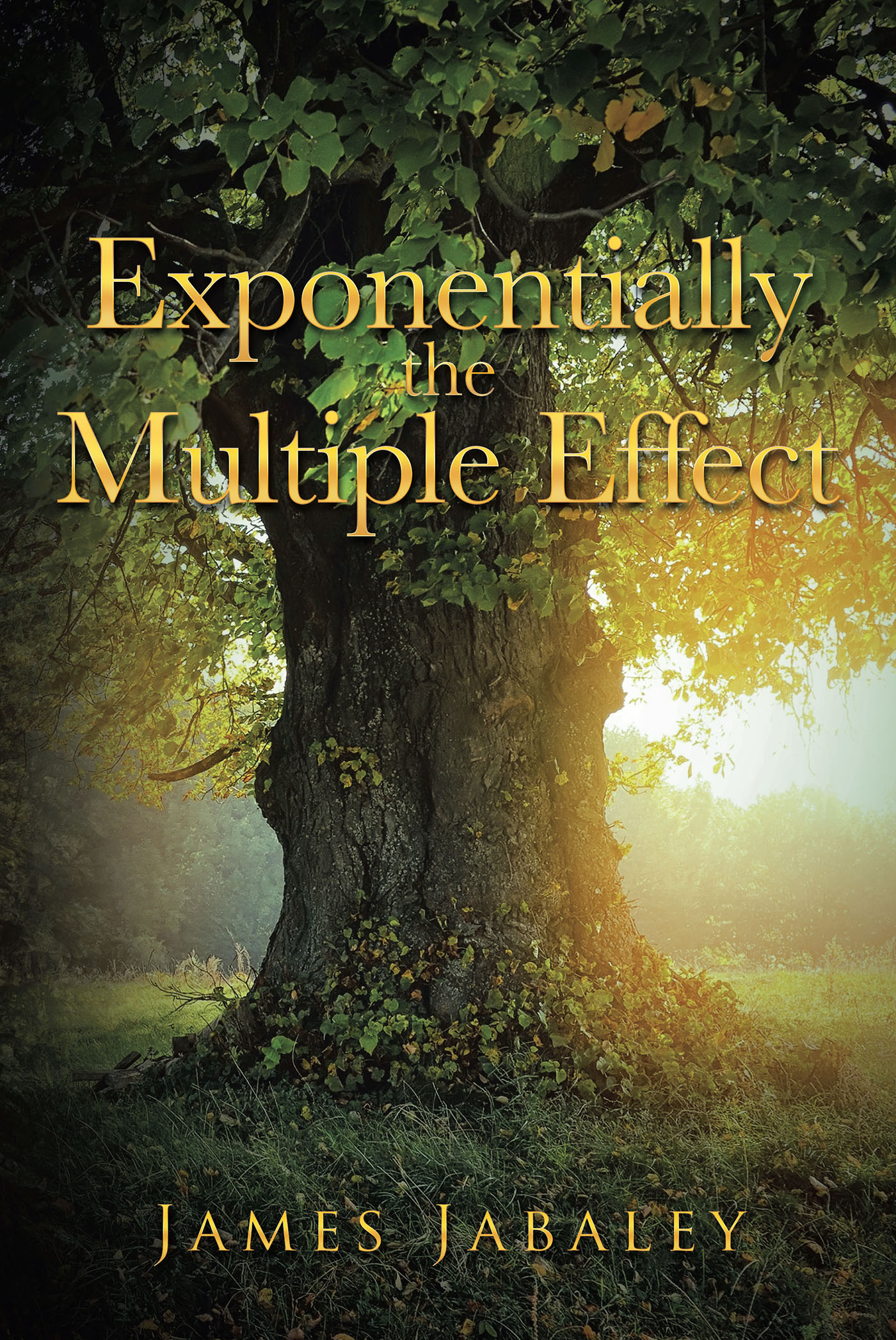 Exponentially the Multiple Effect Cover Image