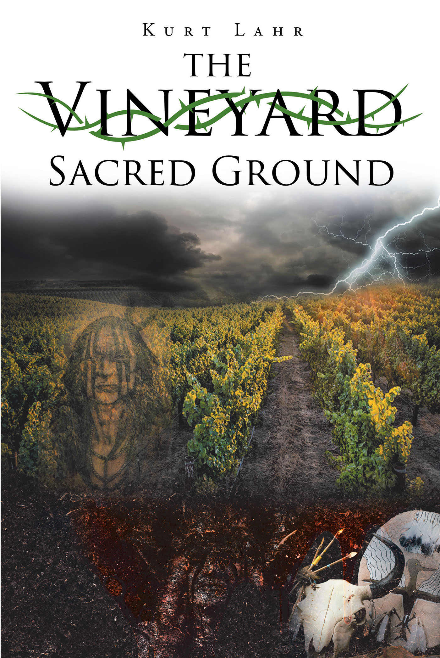 The Vineyard Cover Image