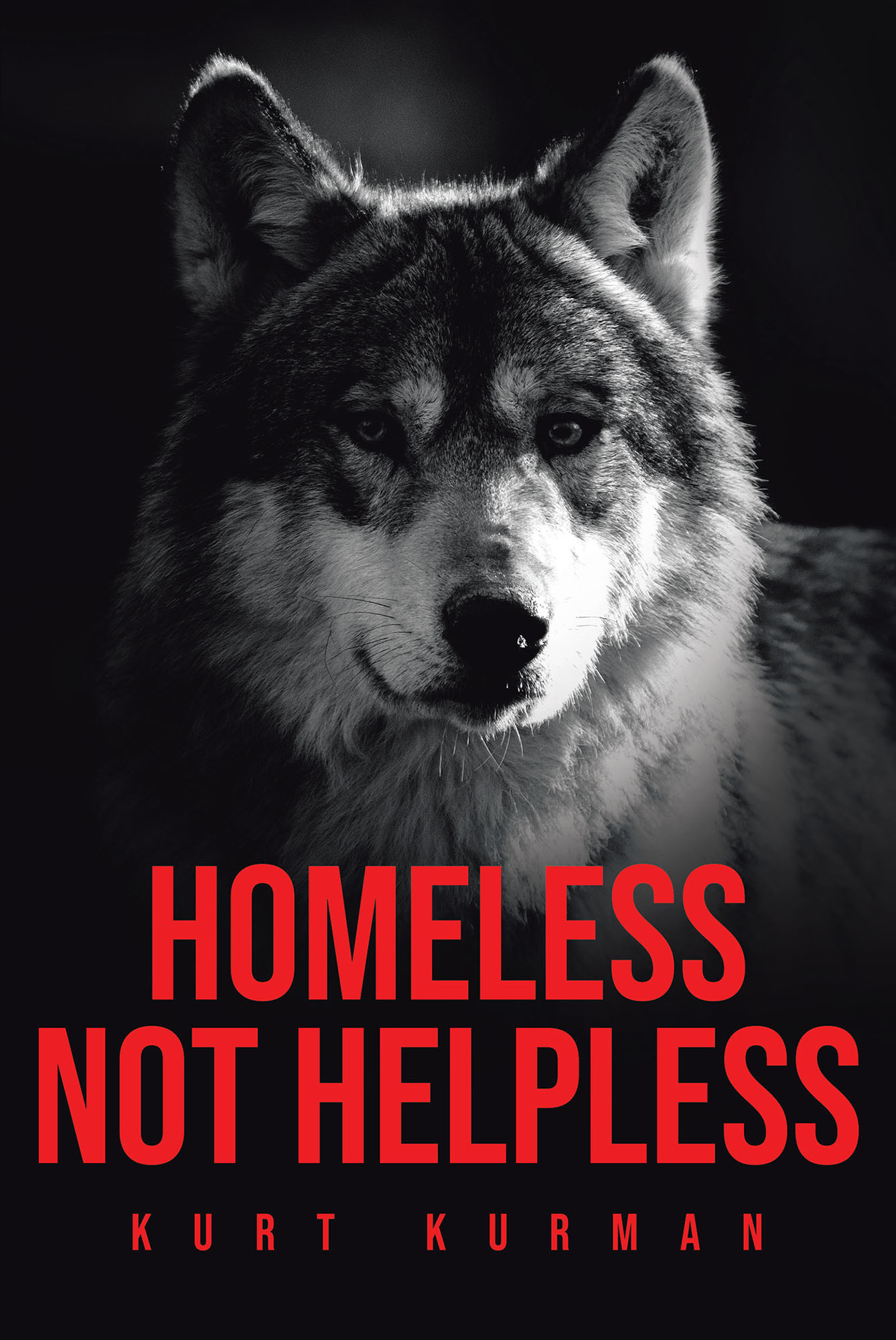 Homeless Not Helpless Cover Image