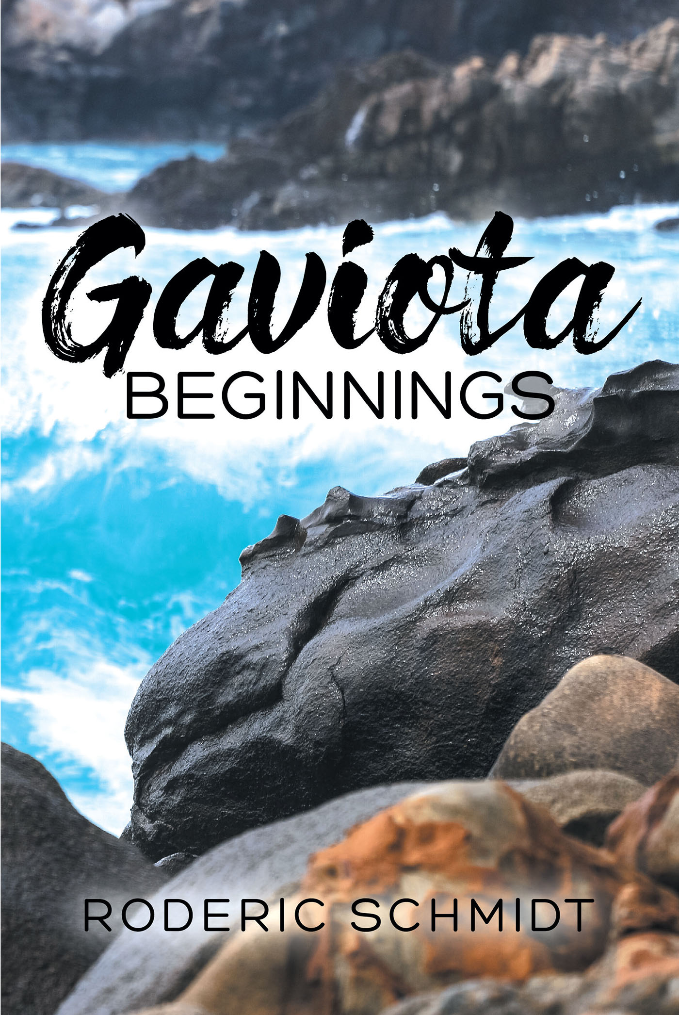 Gaviota Beginnings Cover Image