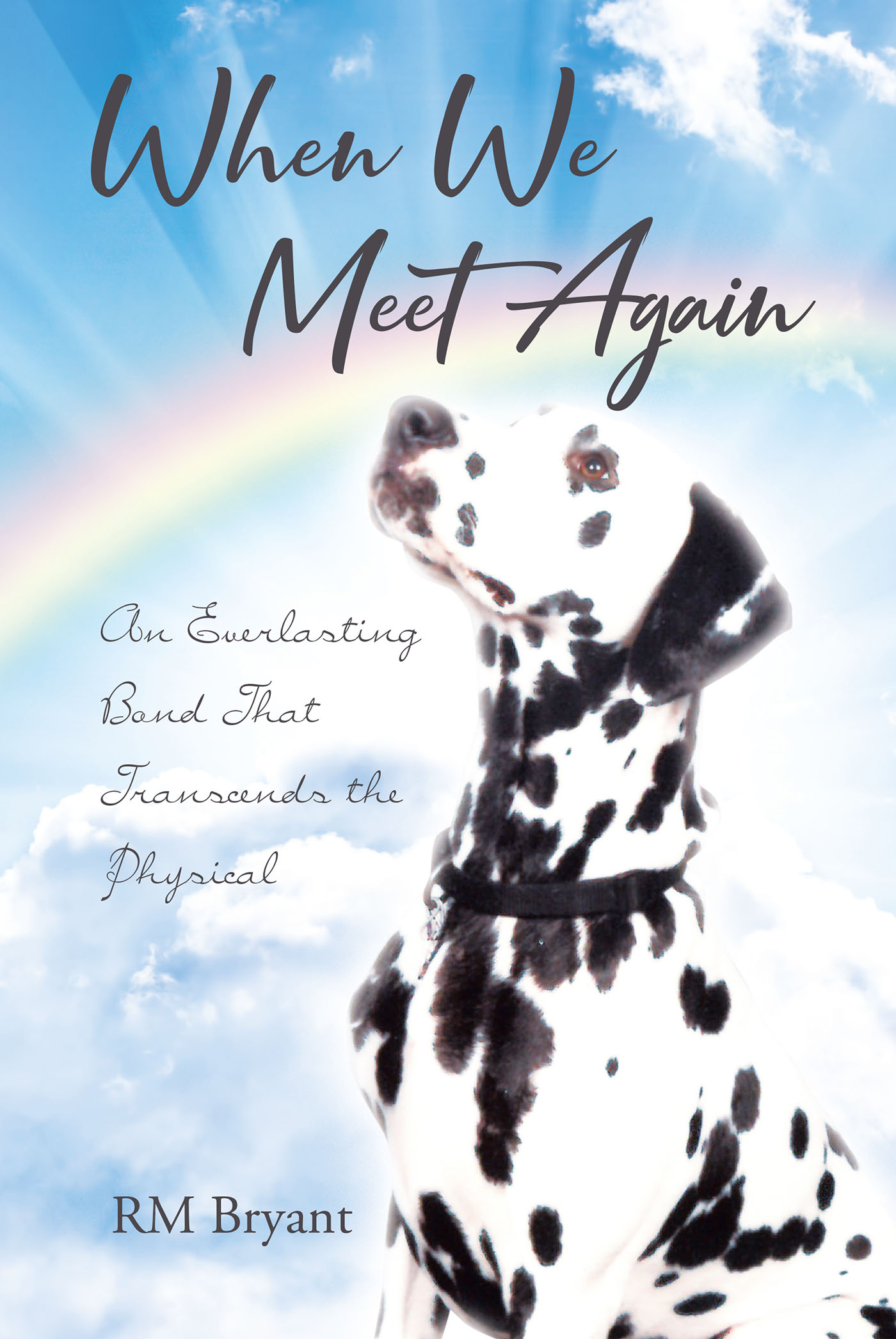When We Meet Again Cover Image