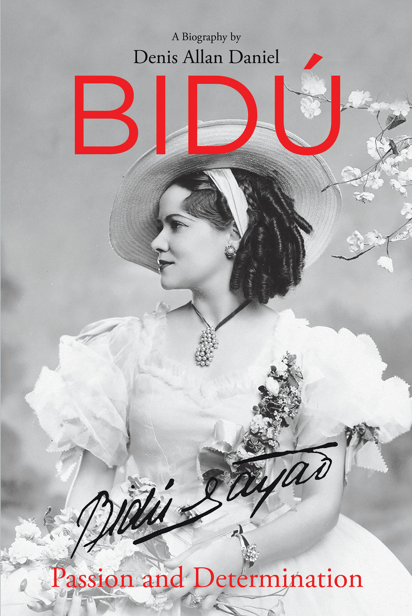 Bidu Cover Image
