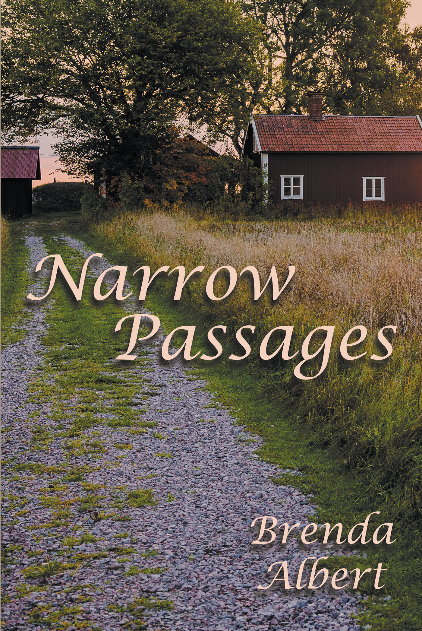 Narrow Passages Cover Image