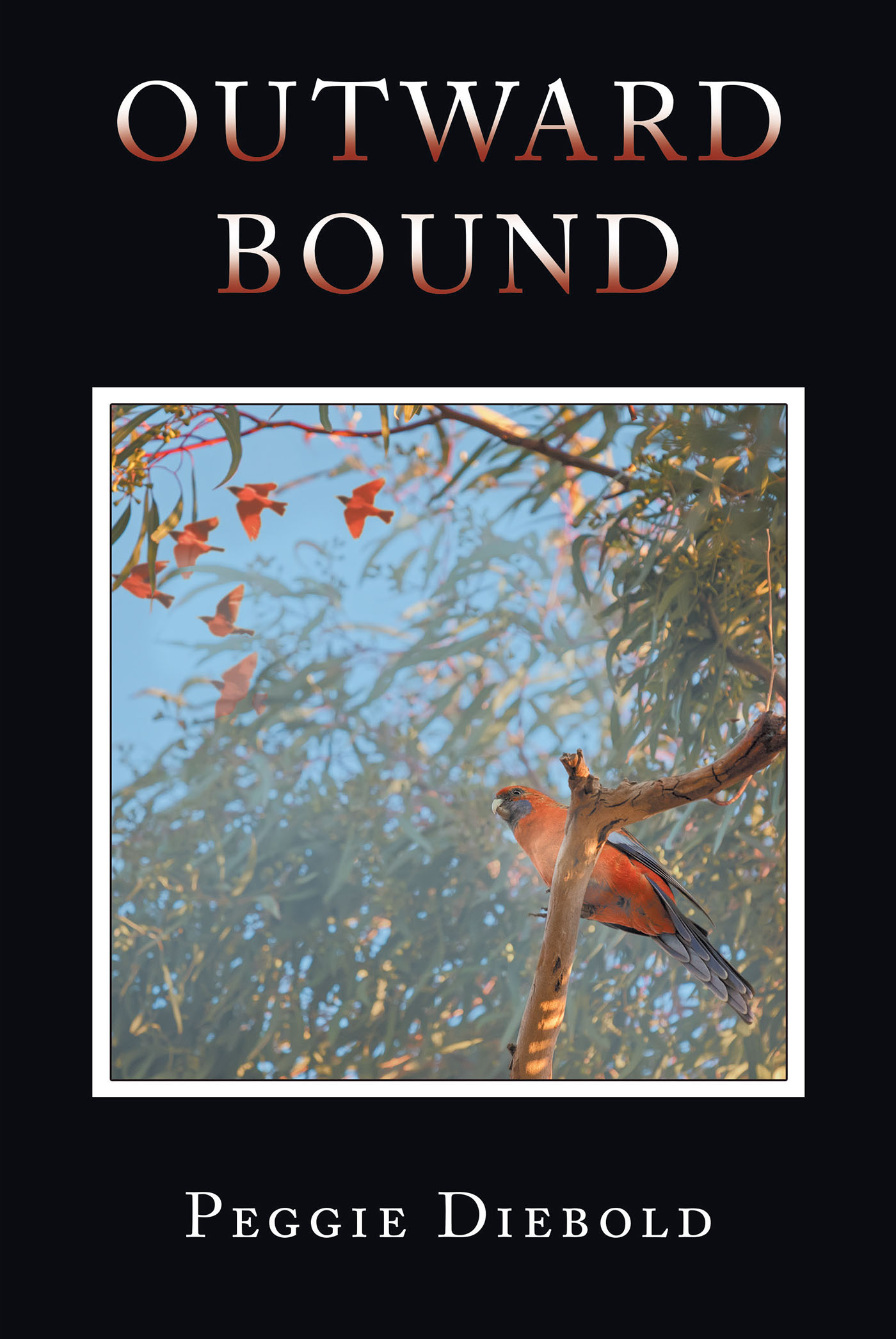 Outward Bound Cover Image