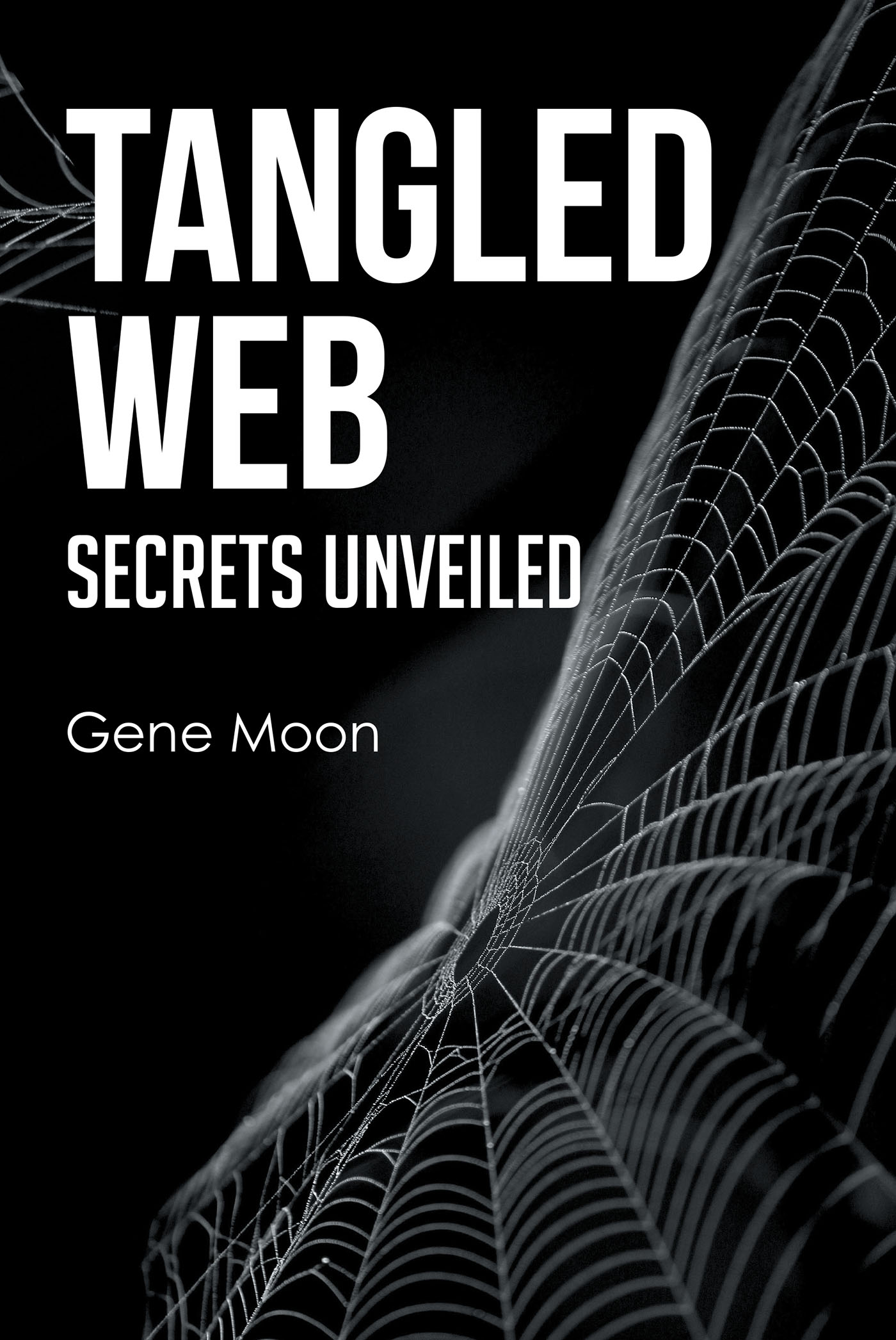 Tangled Web - Secrets Unveiled Cover Image