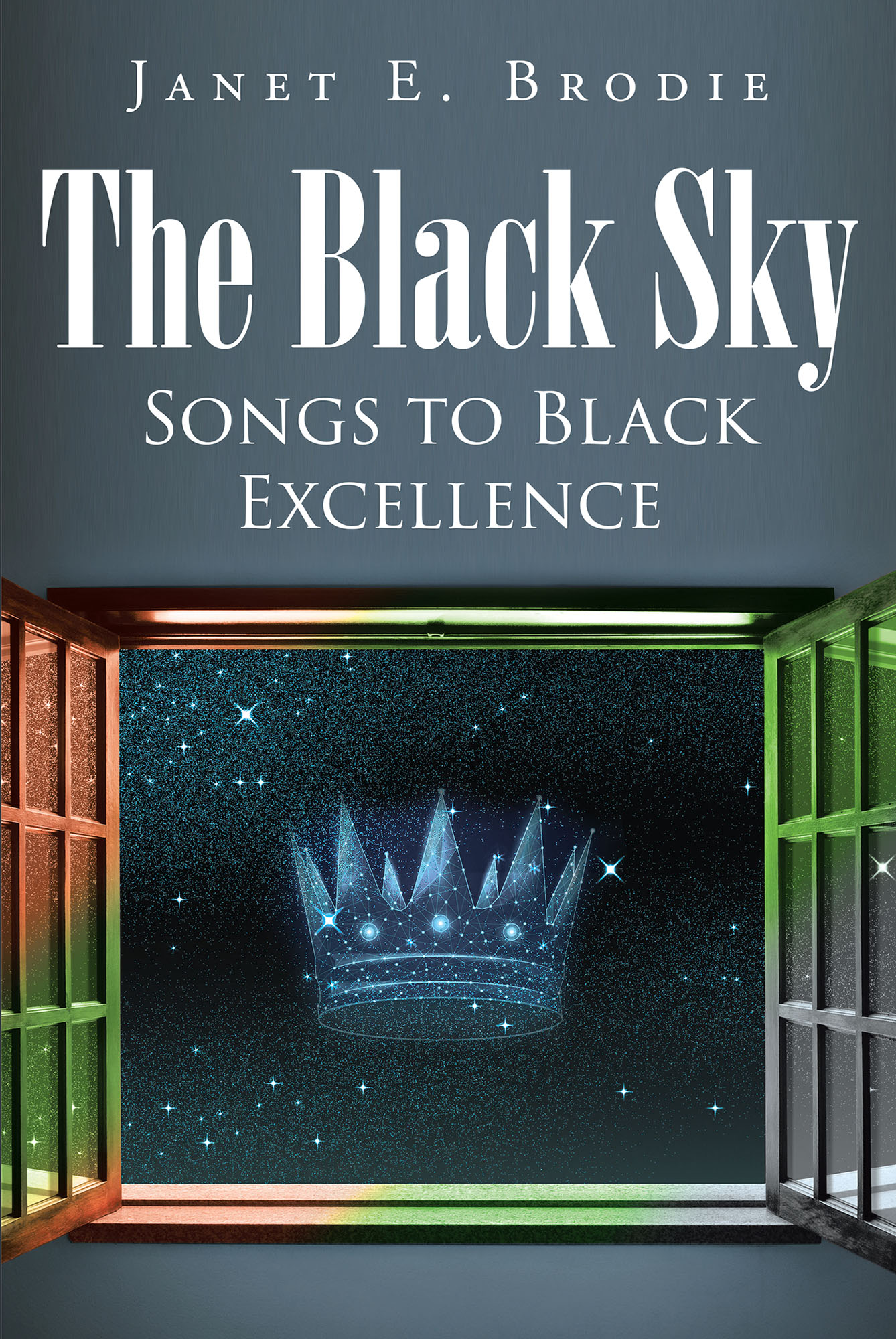 The Black Sky  Cover Image