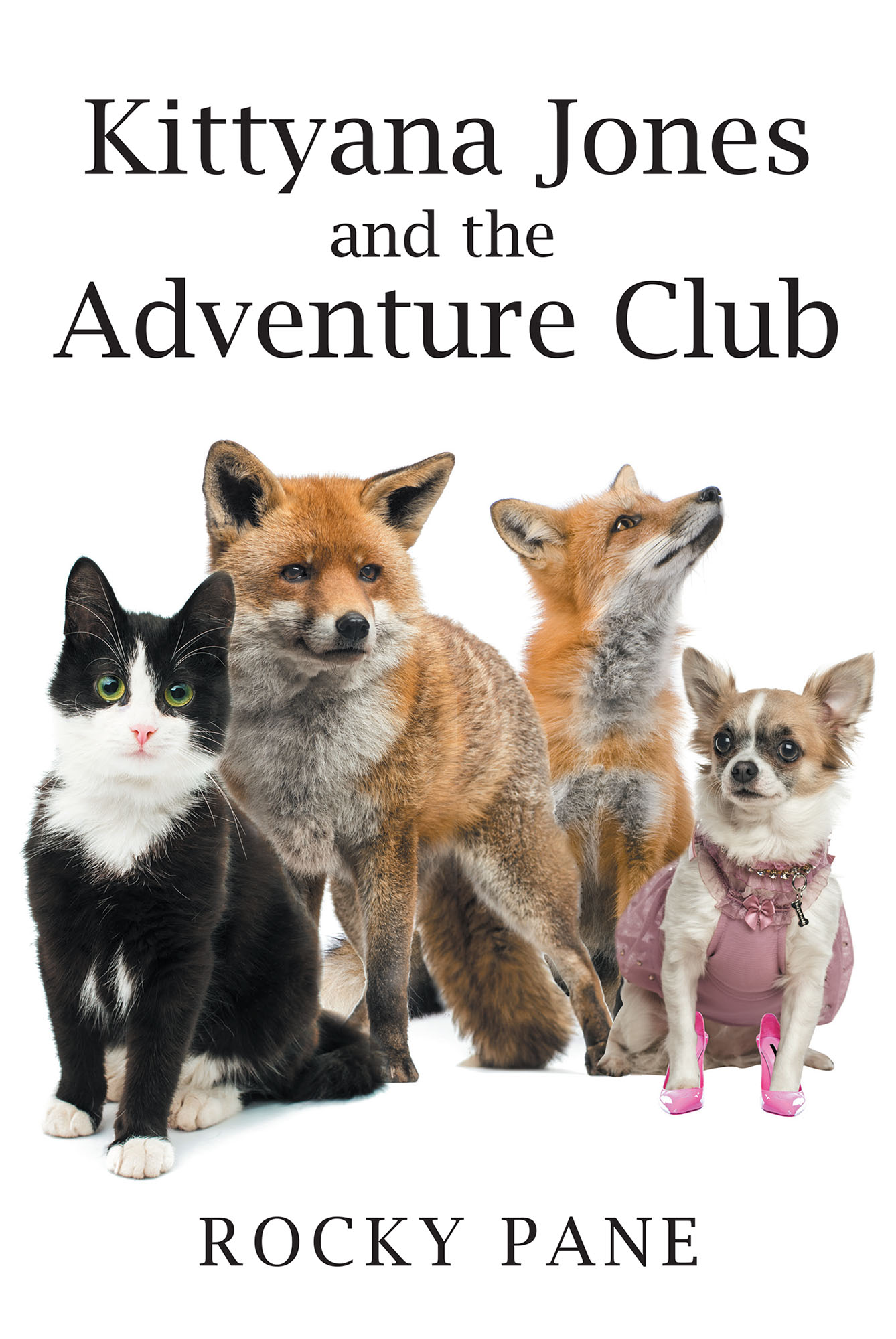 Kittyana Jones and the Adventure Club Cover Image